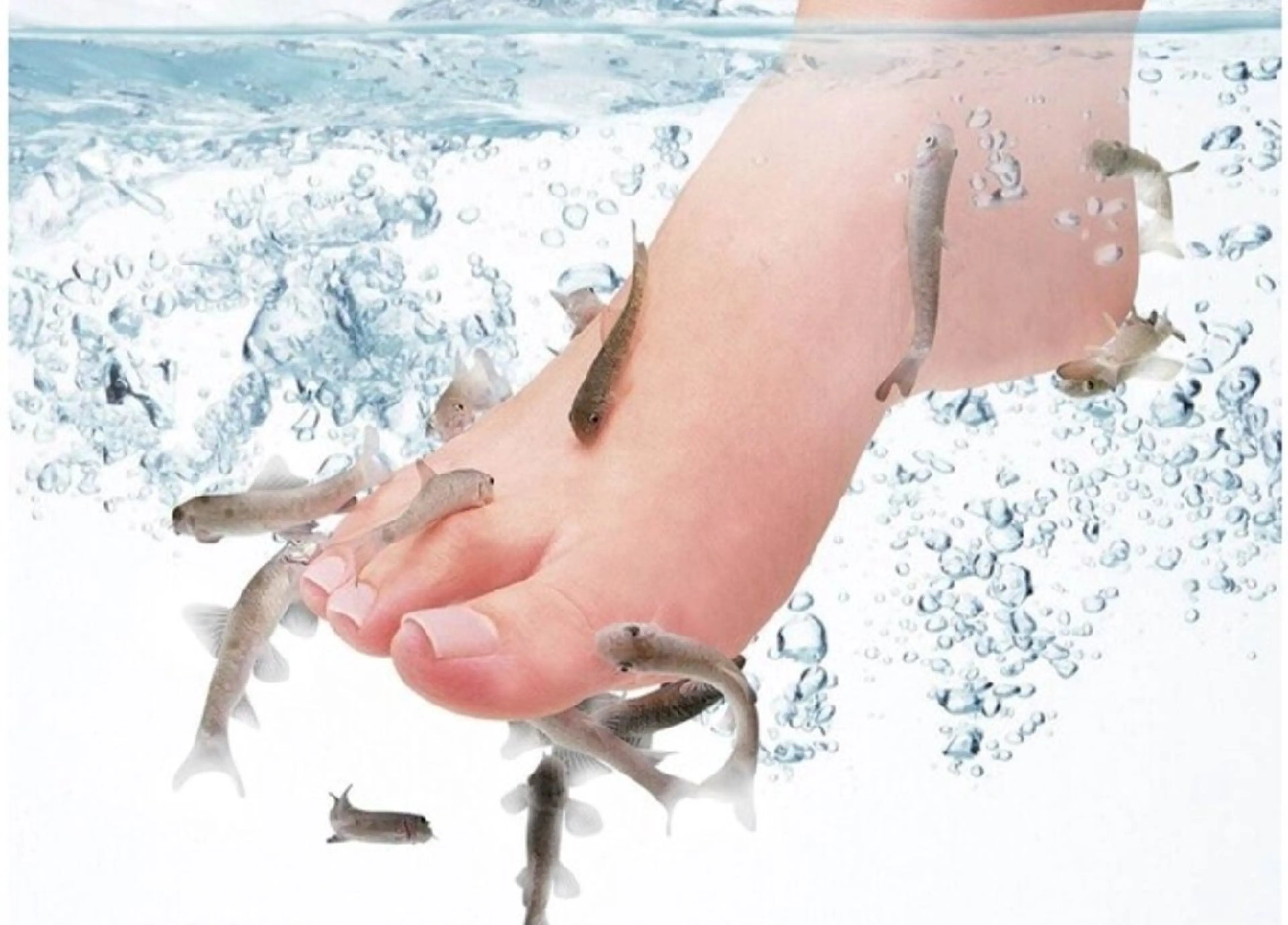 リラク 上野・御徒町 BIG FOOT SPAのエステ・リラクイメージ