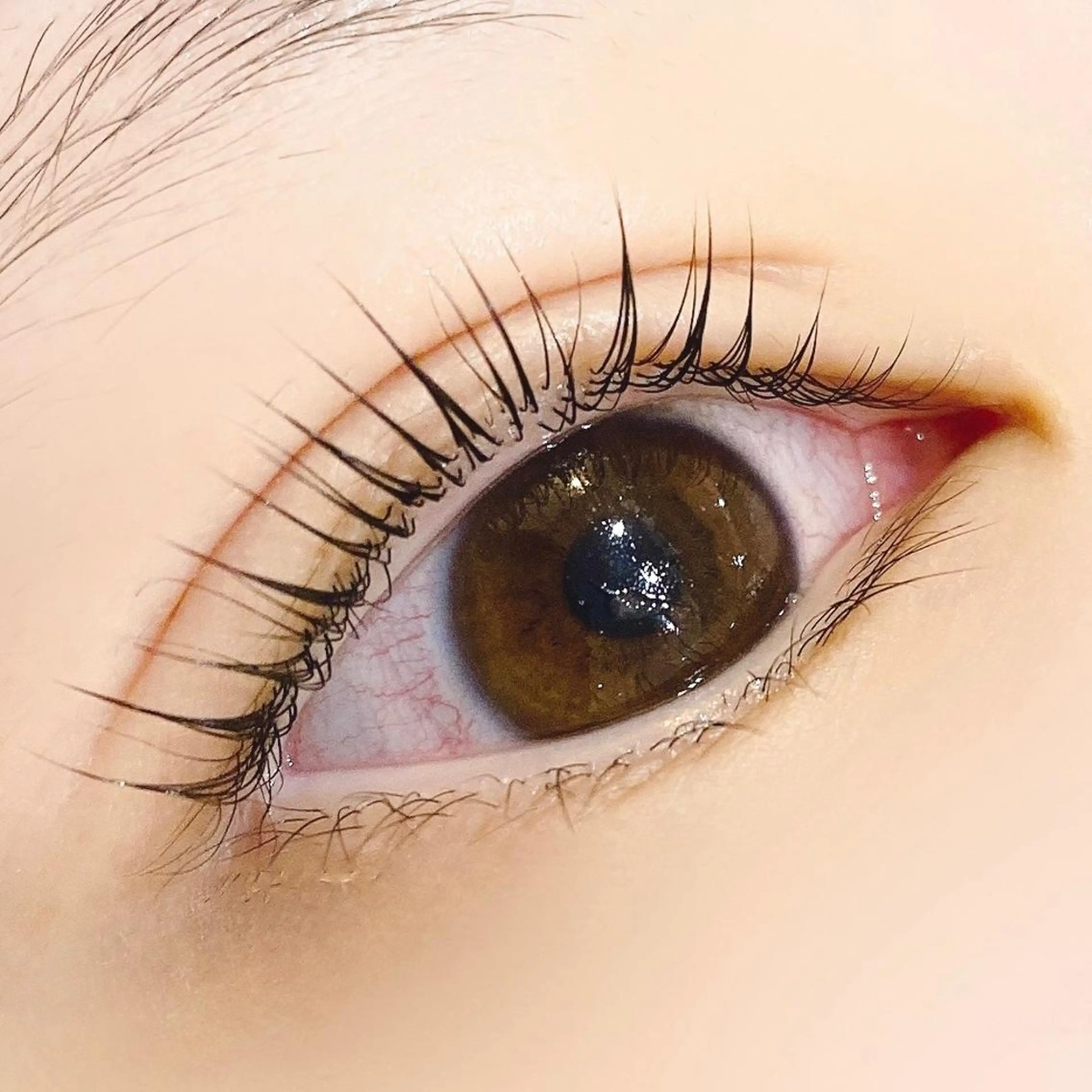 マツエク・マツパ パリジェンヌラッシュリフト マツパ 【myonsil】 Suzuki*のマツエク・マツパデザイン