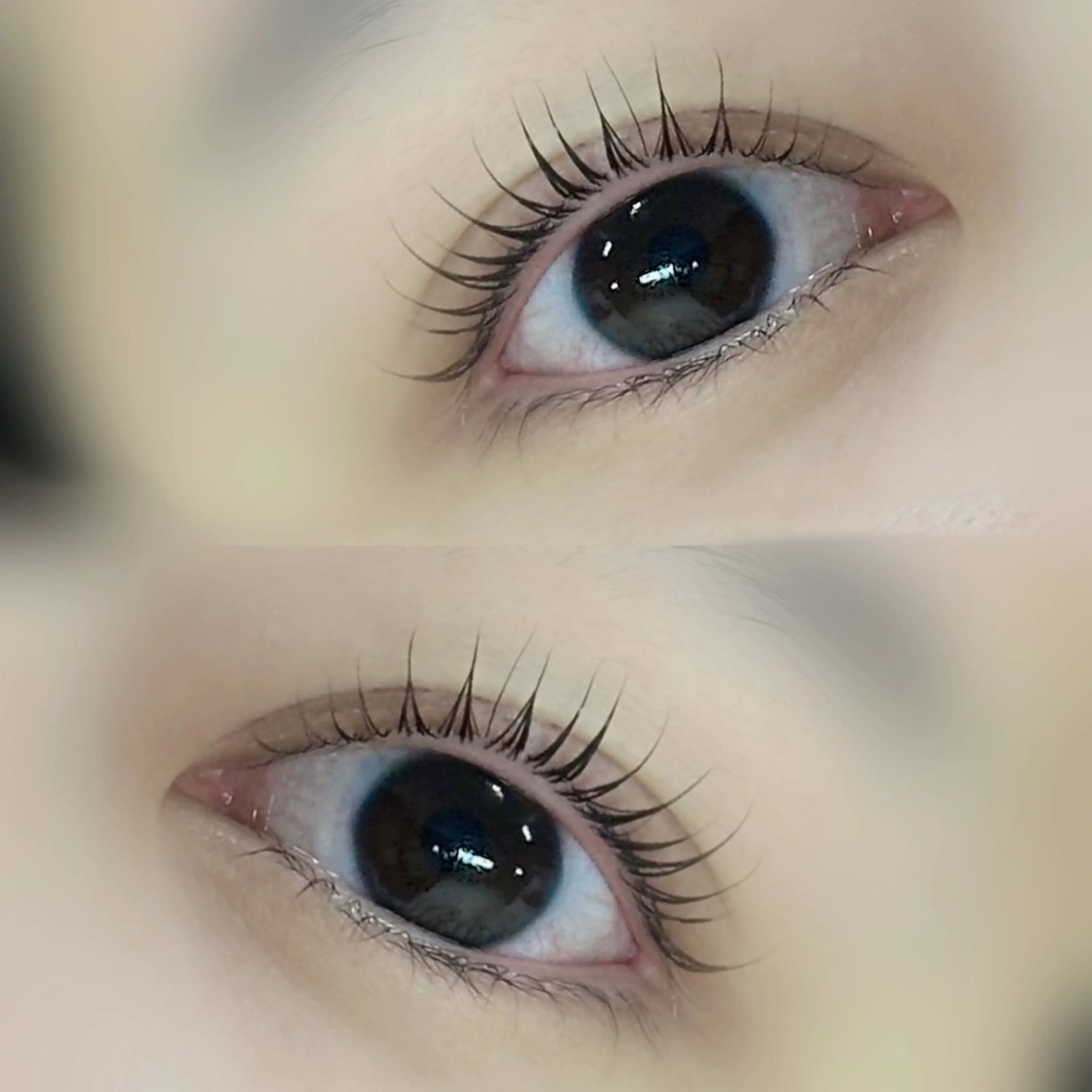 🫧アイシャンプー/トリートメント込🫧まつげパーマの写真