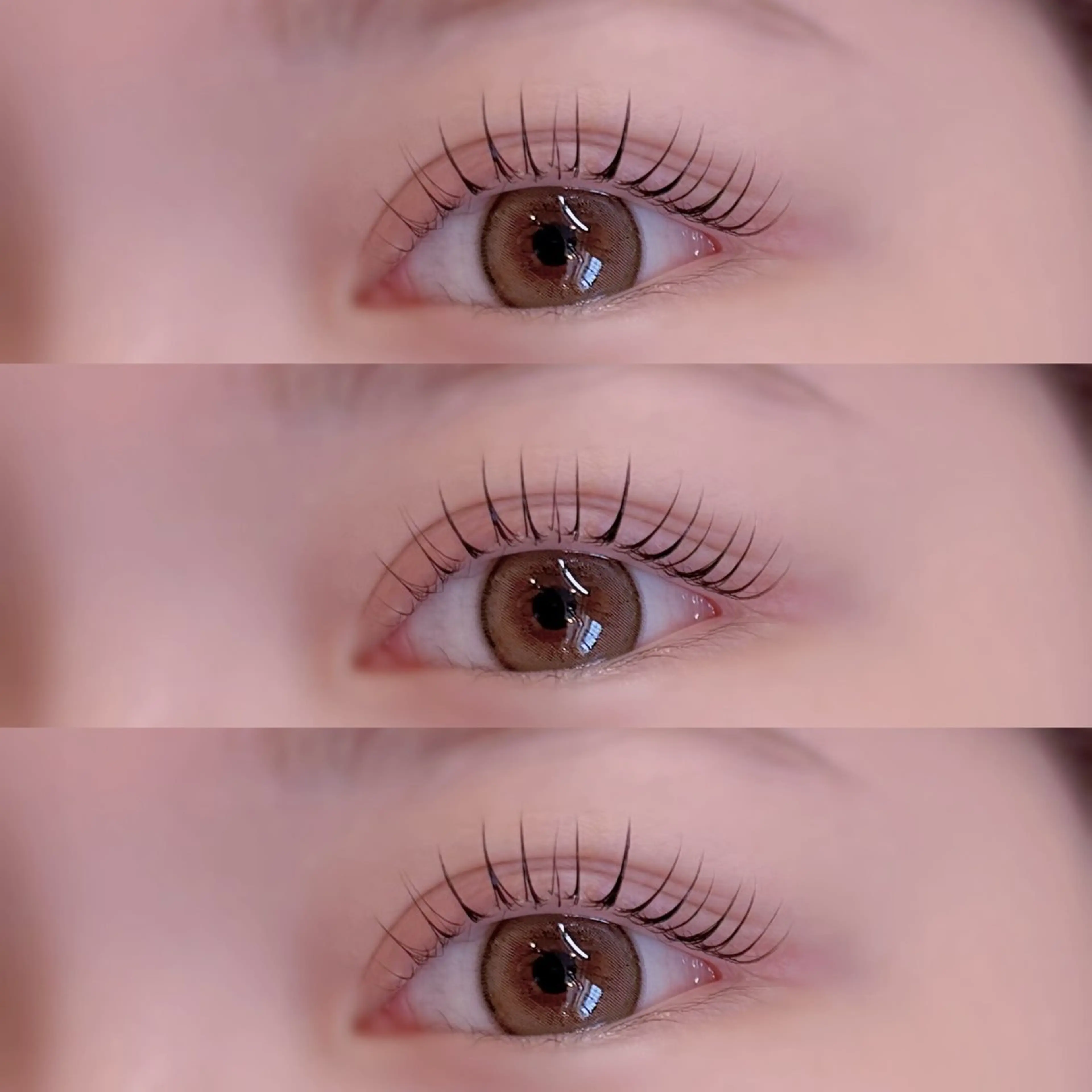 🫧12月限定価格🫧上下まつげパーマ🖤土日空きあります♡の写真