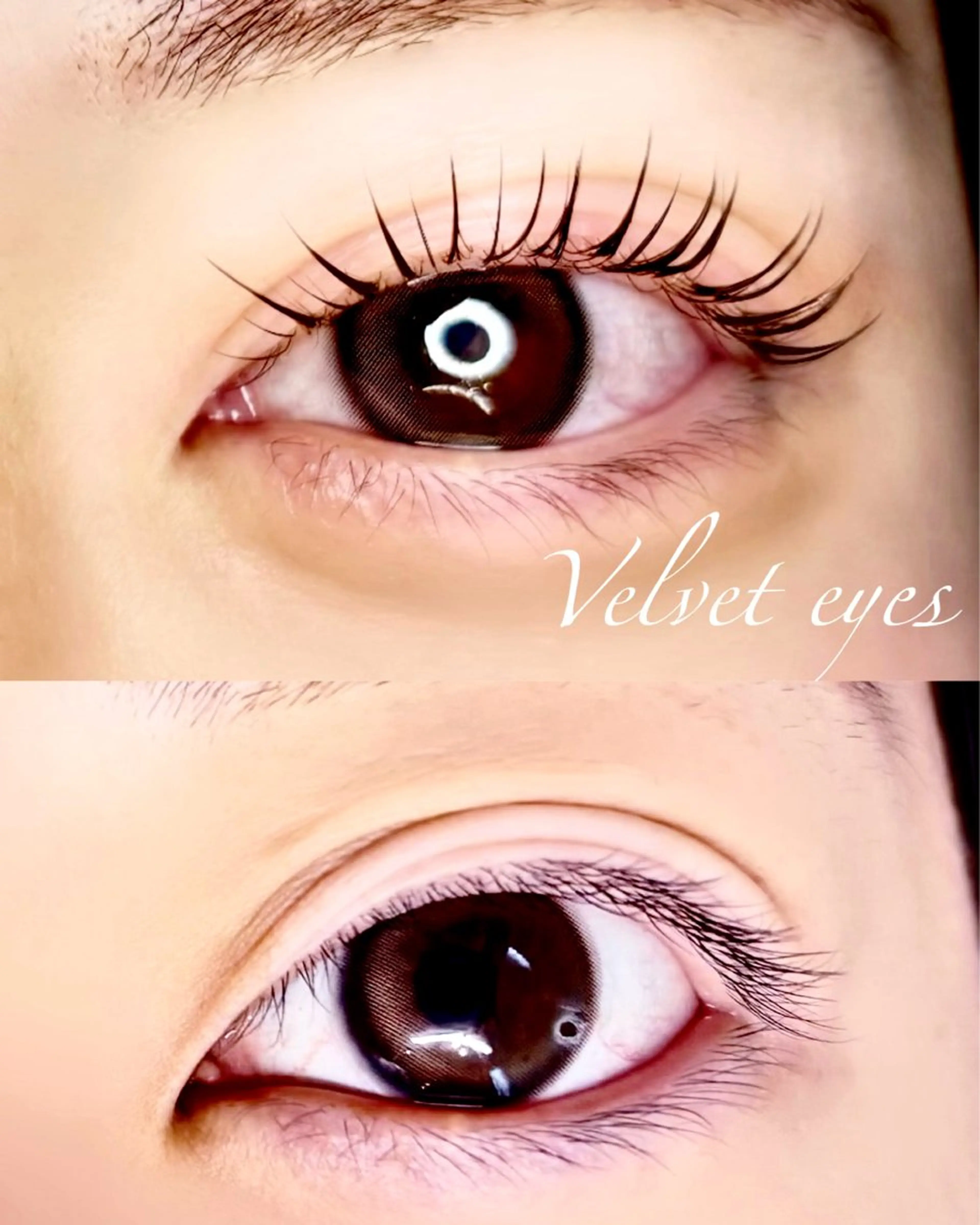 マツエク・マツパ マツエク velveteyes ＊yukiのマツエク・マツパデザイン