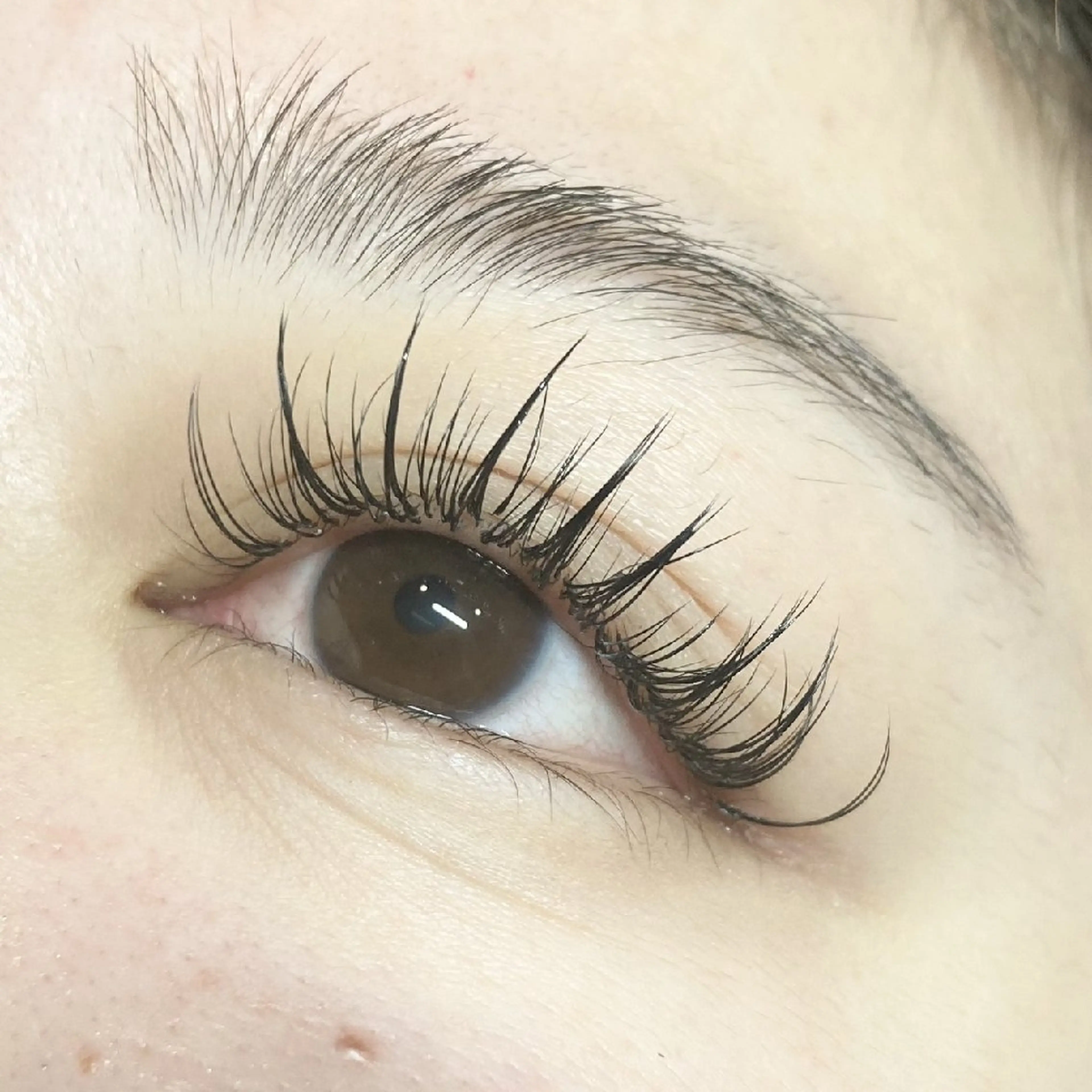 🌟♪ワンホンマツエク♪🌟の写真