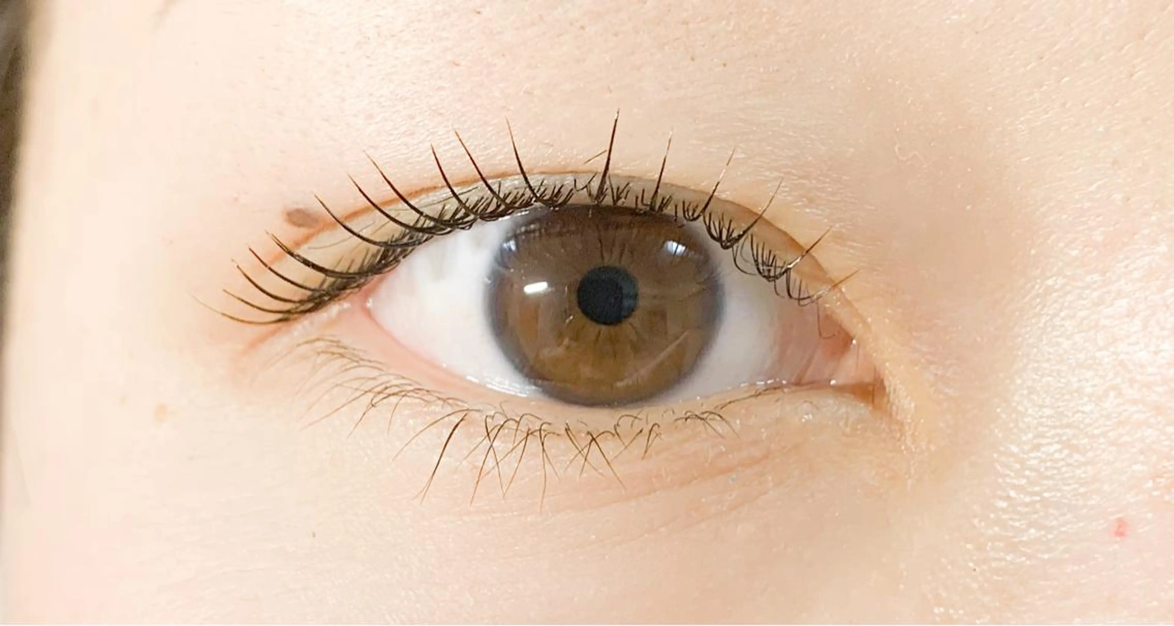 マツエク・マツパ サルサグレイス千葉店 塩井のマツエク・マツパデザイン