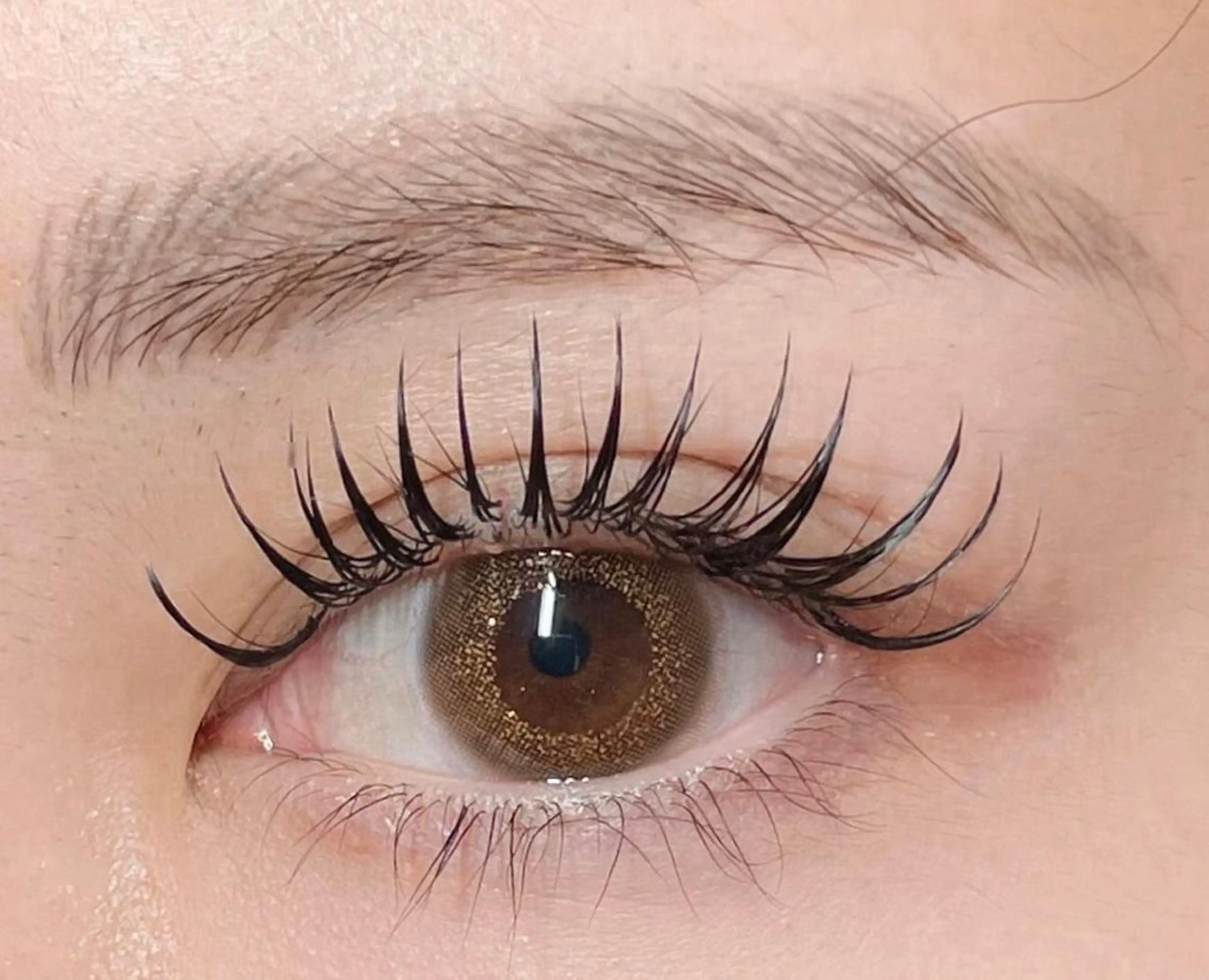 3D Volume Lash ❤️‍🔥 100束​〜​130束の写真