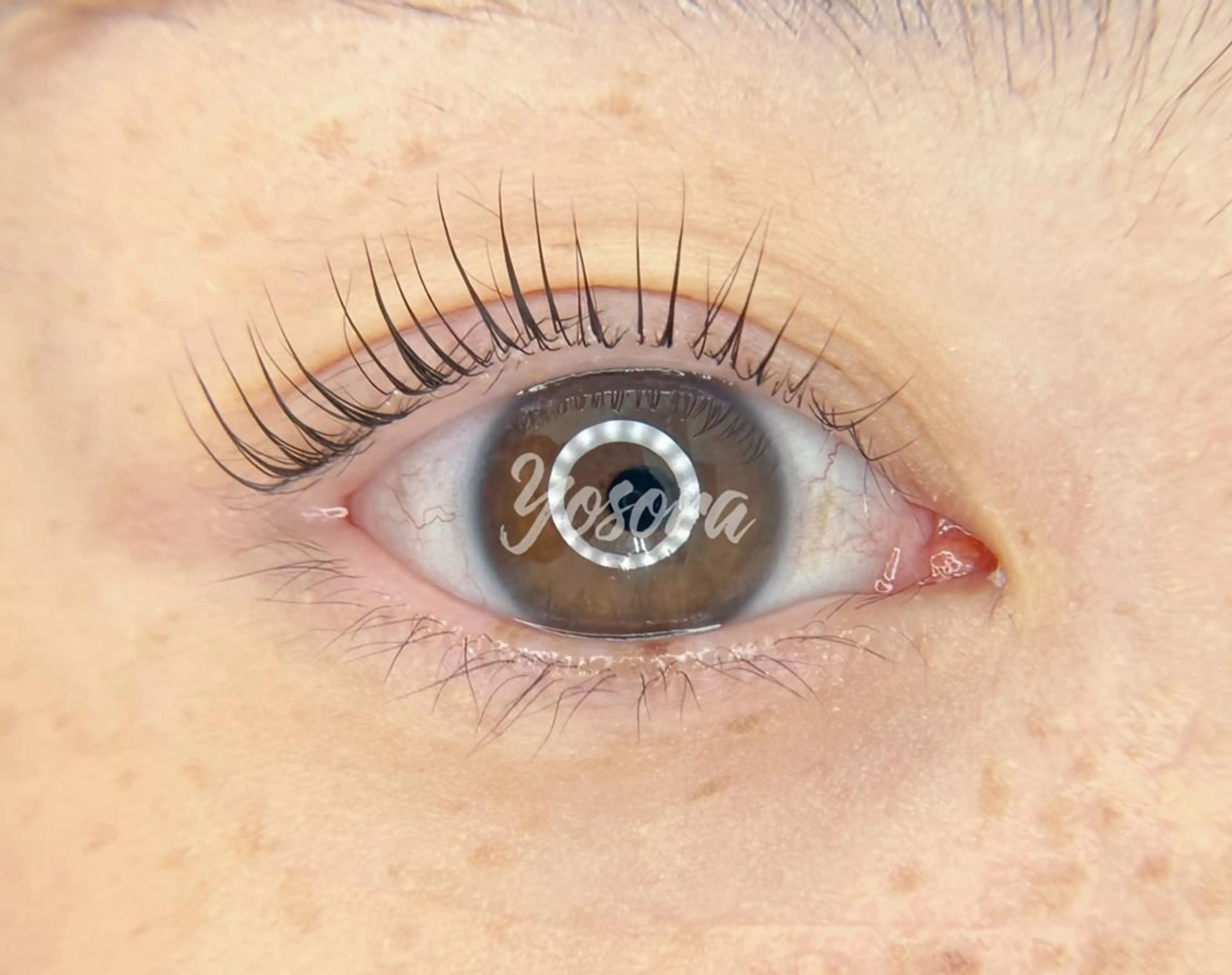 マツエク・マツパ パリジェンヌラッシュリフト マツパ Yosora salonのマツエク・マツパデザイン