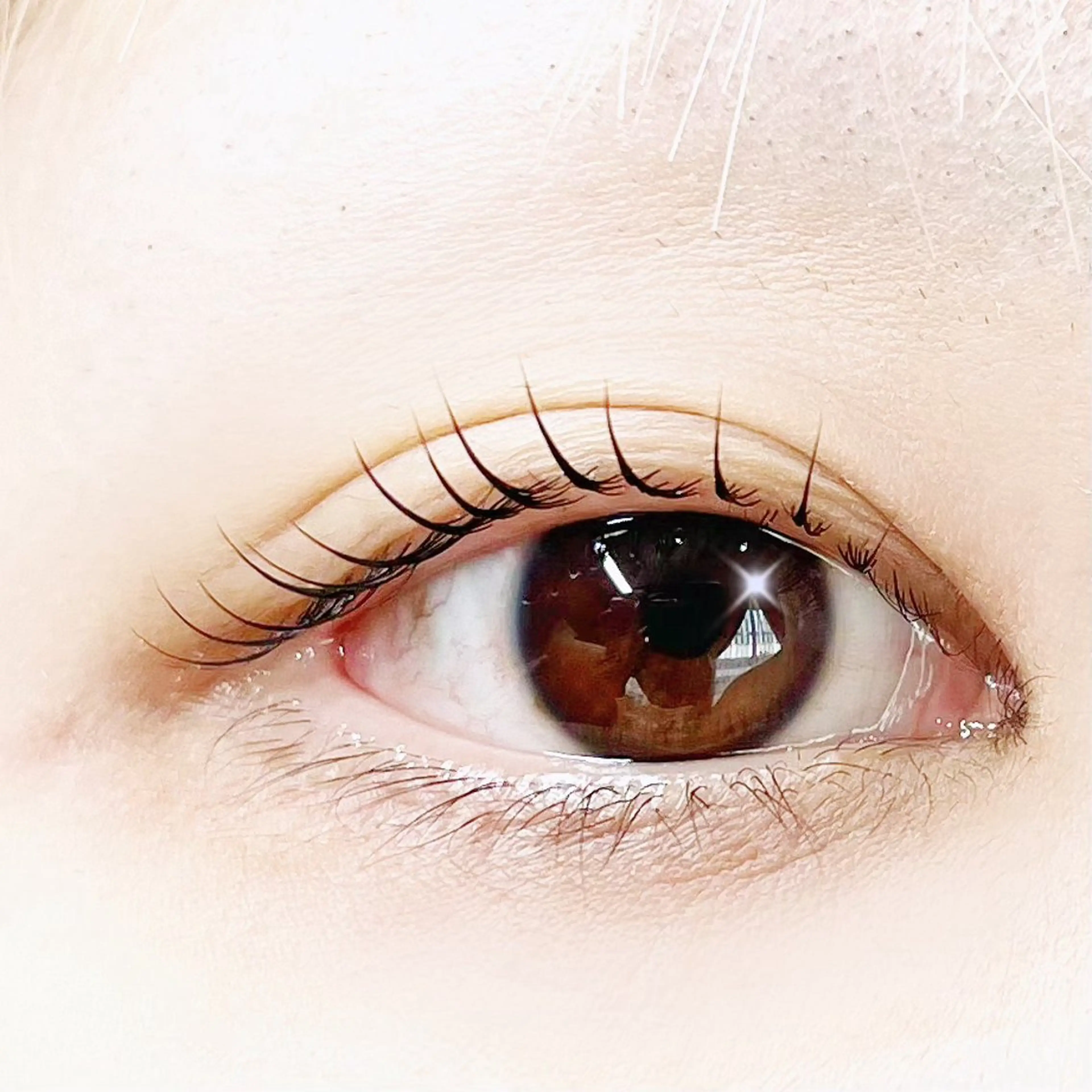 マツエク・マツパ まつげパーマ lrie ／  moeのマツエク・マツパデザイン