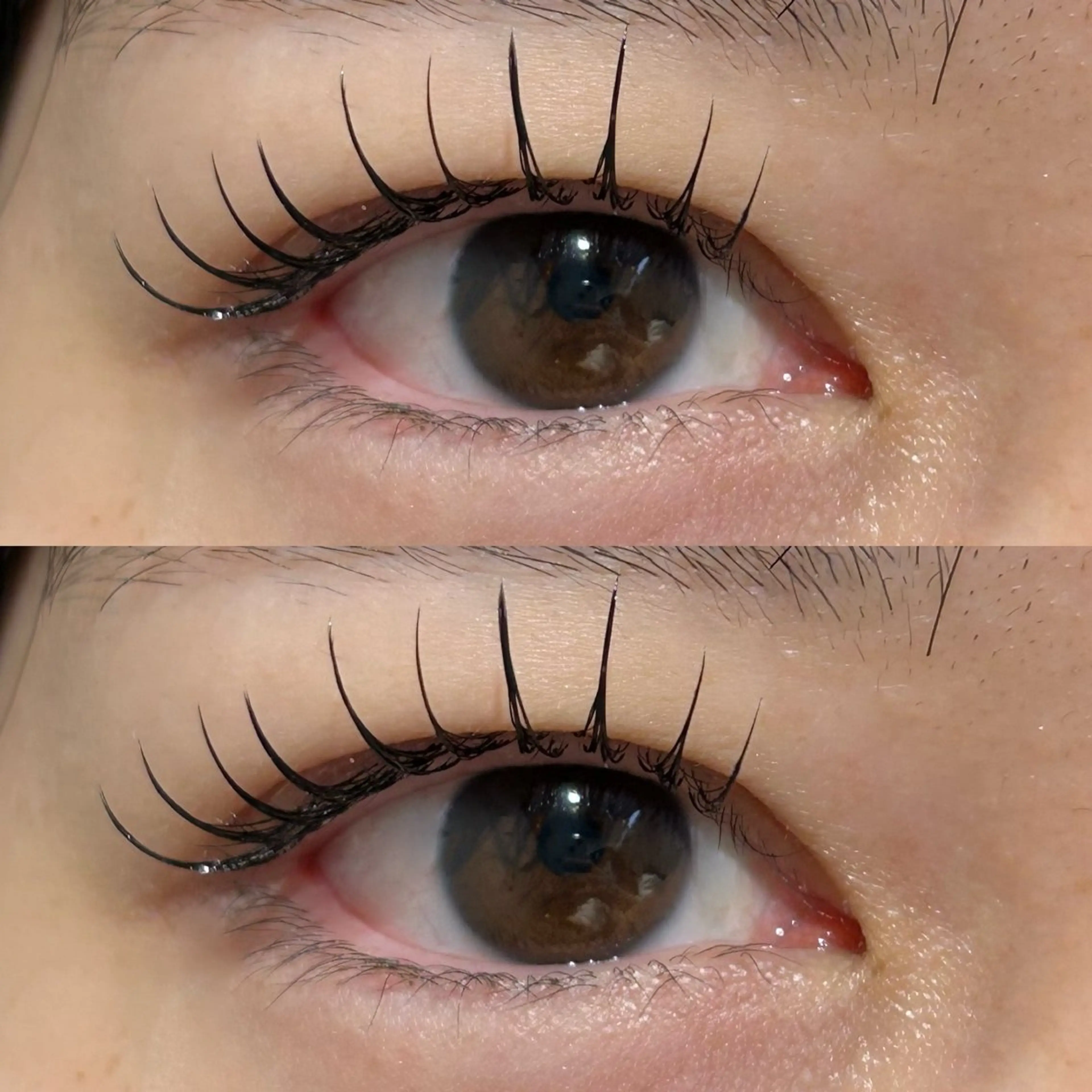 マツエク・マツパ 束感まつ毛 フラットラッシュ olea by ahnkism（オリバイアンキシム）所属・olea byahnkismの眉毛・アイブロウイメージ