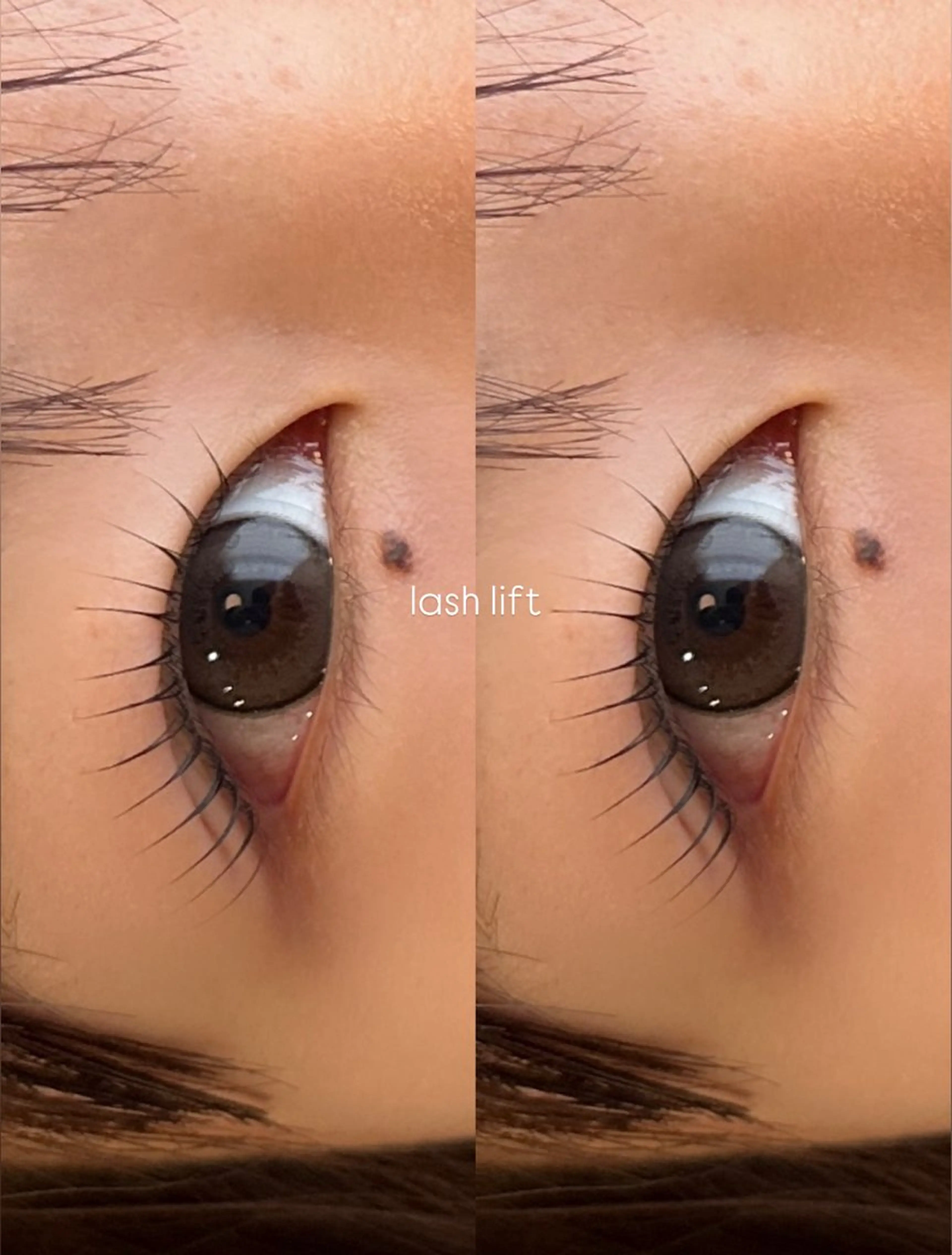 マツエク・マツパ 一重×まつ毛パーマ 石川 陽菜のマツエク・マツパデザイン