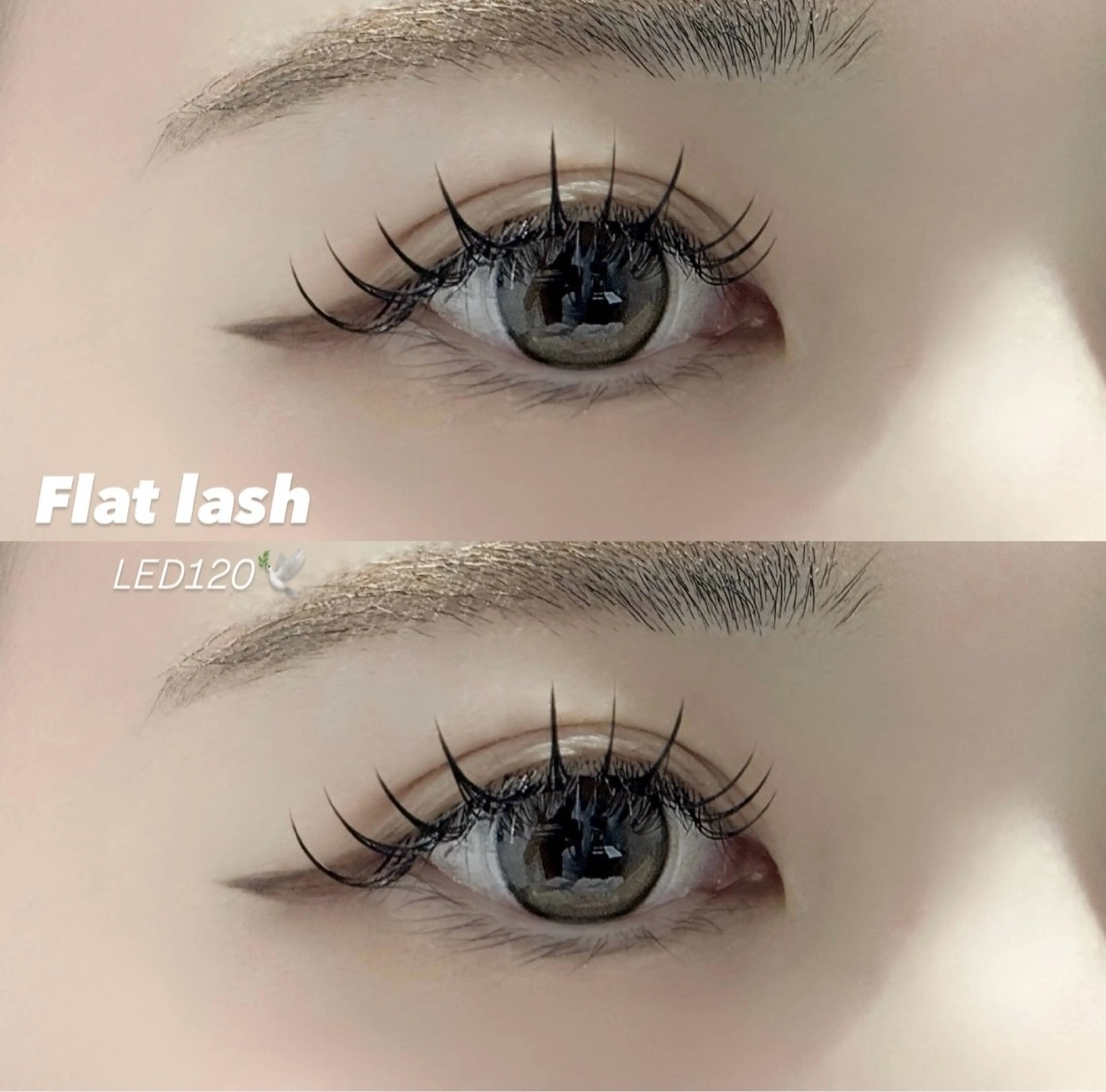 マツエク・マツパ eyelash&eyebrow Mimu【ミム】所属・Mimu. momokaの眉毛・アイブロウイメージ