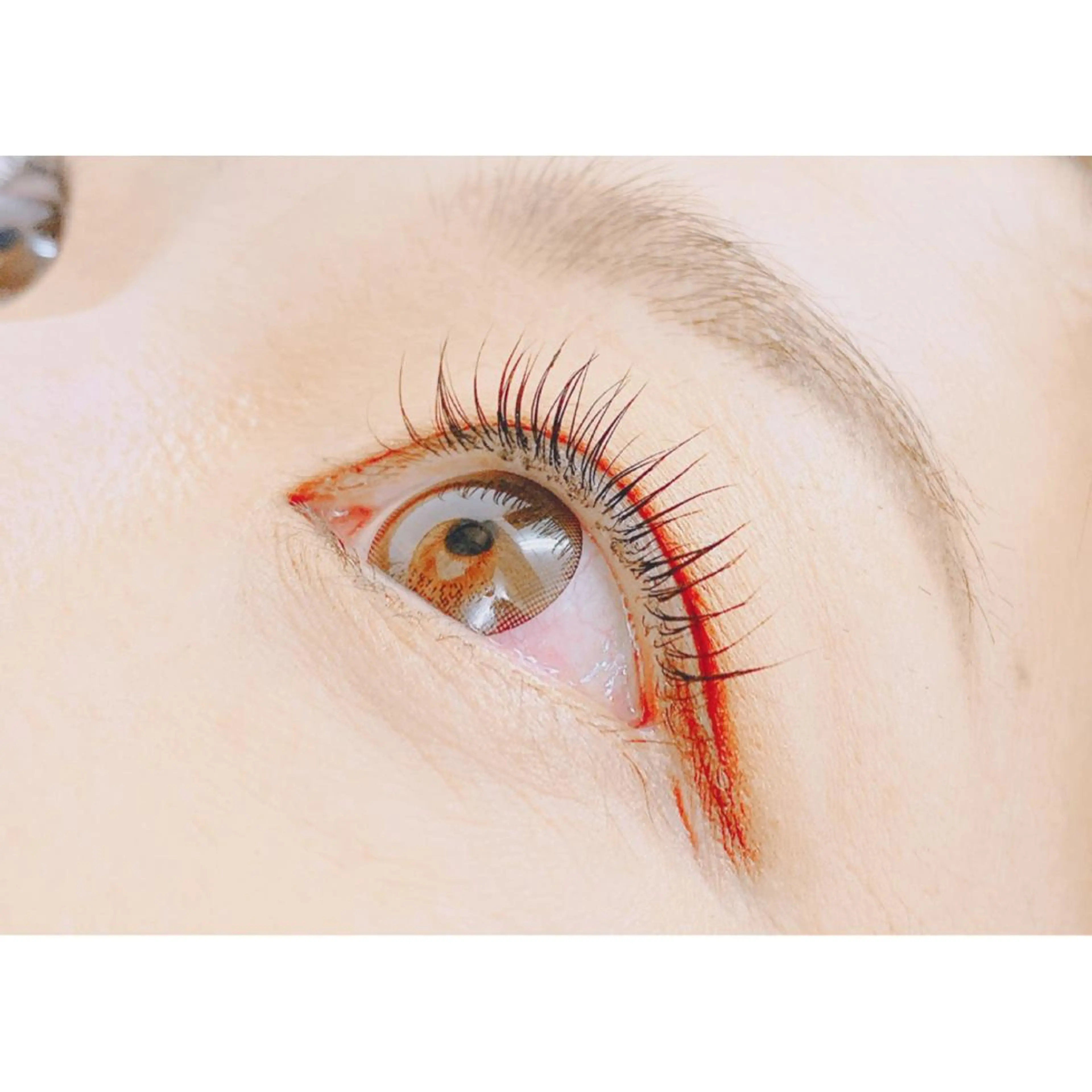 【ご新規様限定】パリジェンヌラッシュリフトの写真