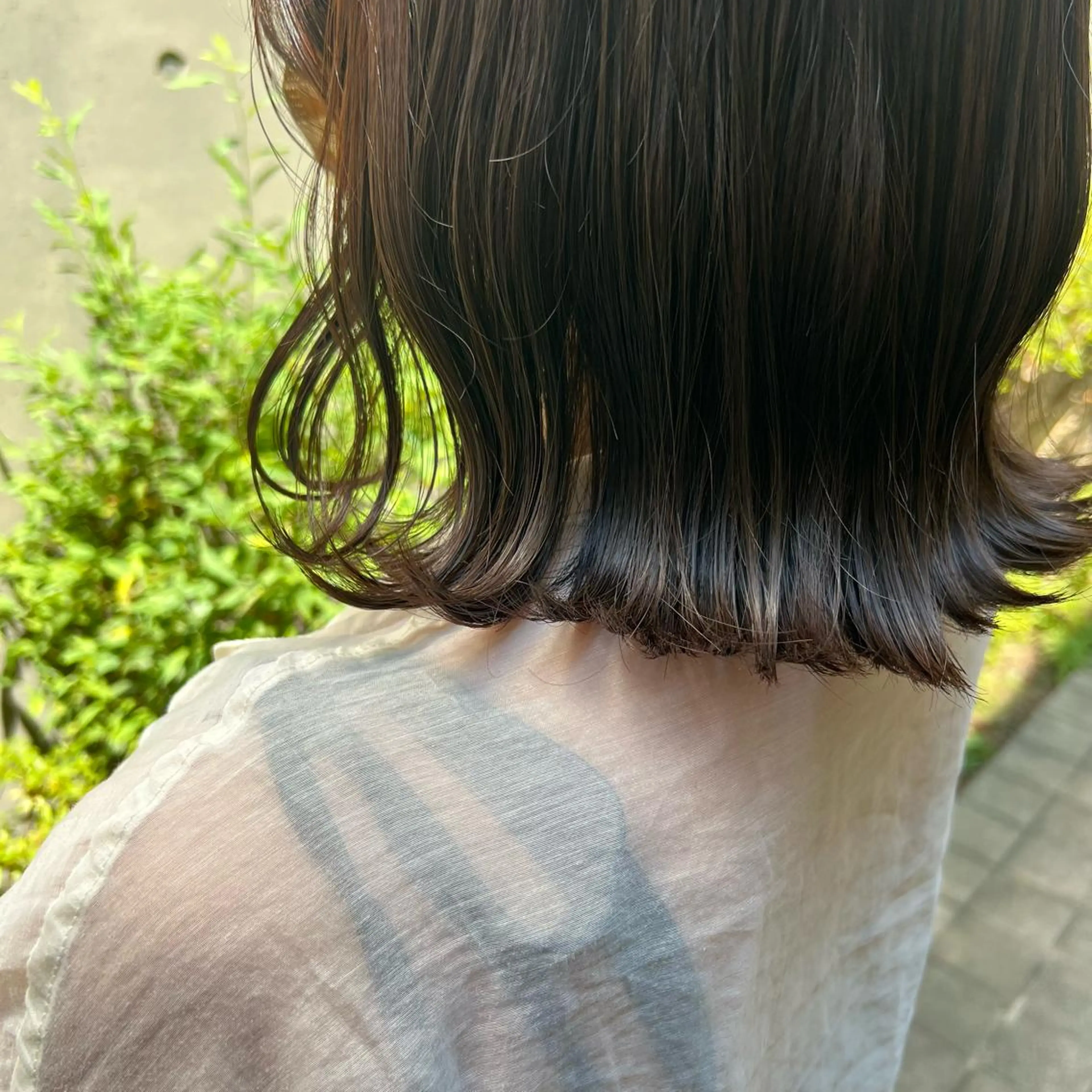 ミディアム カラー 🐰 Ｎａｎａｍｉ🎀のマツエク・マツパデザイン