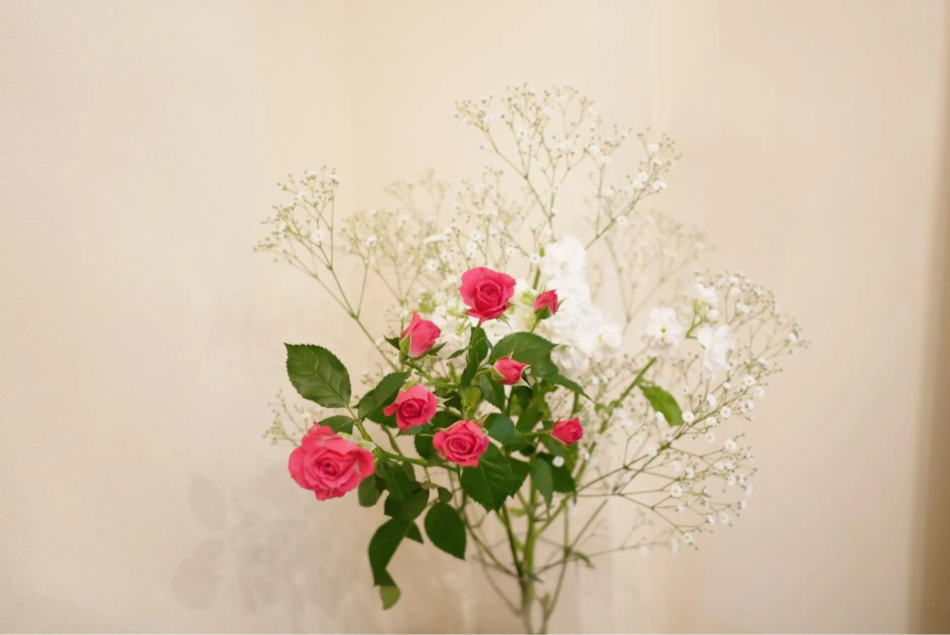 ミディアム カラー パーマ ヘアアレンジ メンズ キッズ ネイル マツエク・マツパ ニキビ跡専門サロン Ａｉｎａのエステ・リラクイメージ