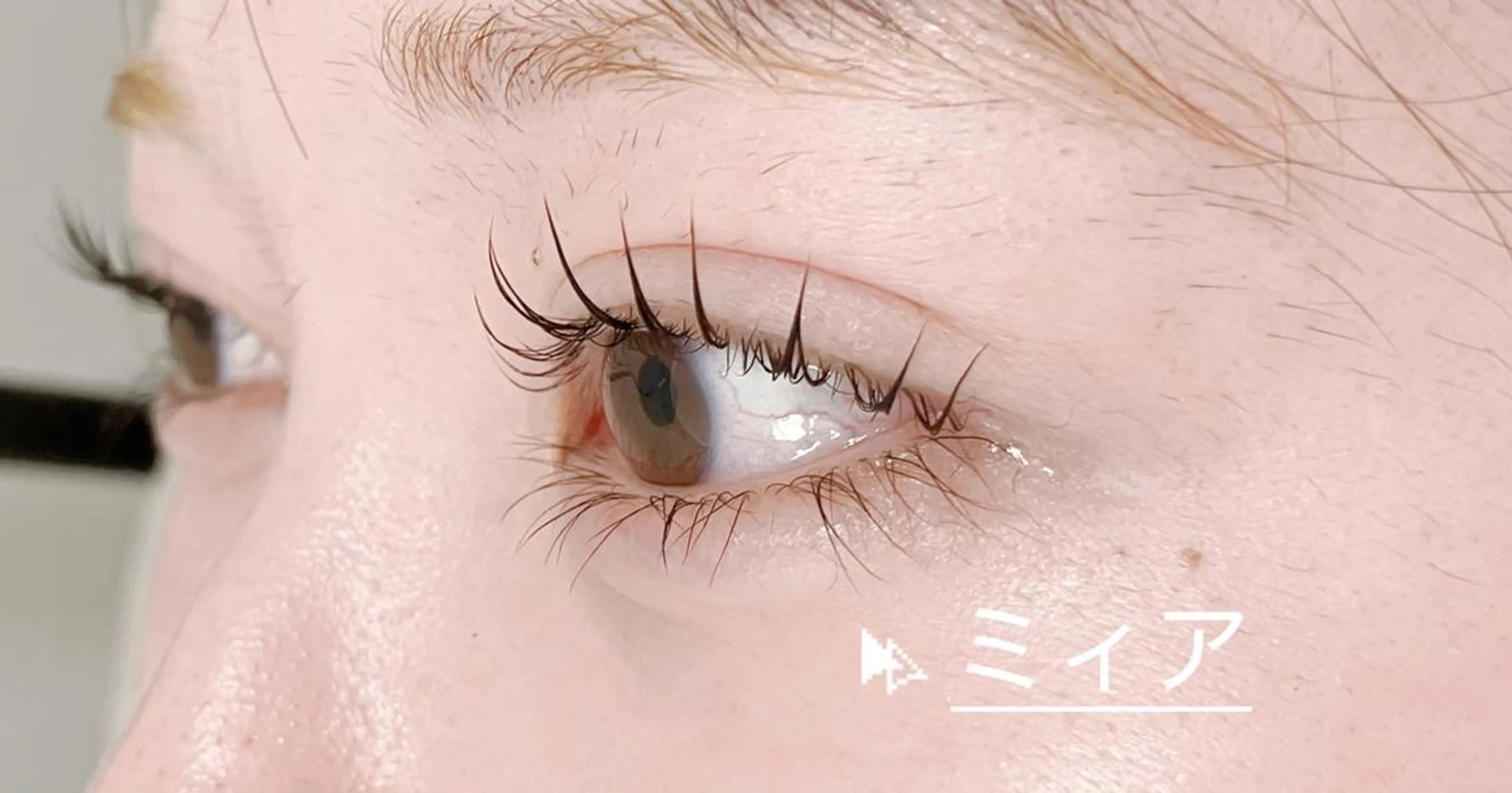 マツエク・マツパ 束感まつ毛 まつげパーマ マツパ ミィア ミスズのマツエク・マツパデザイン