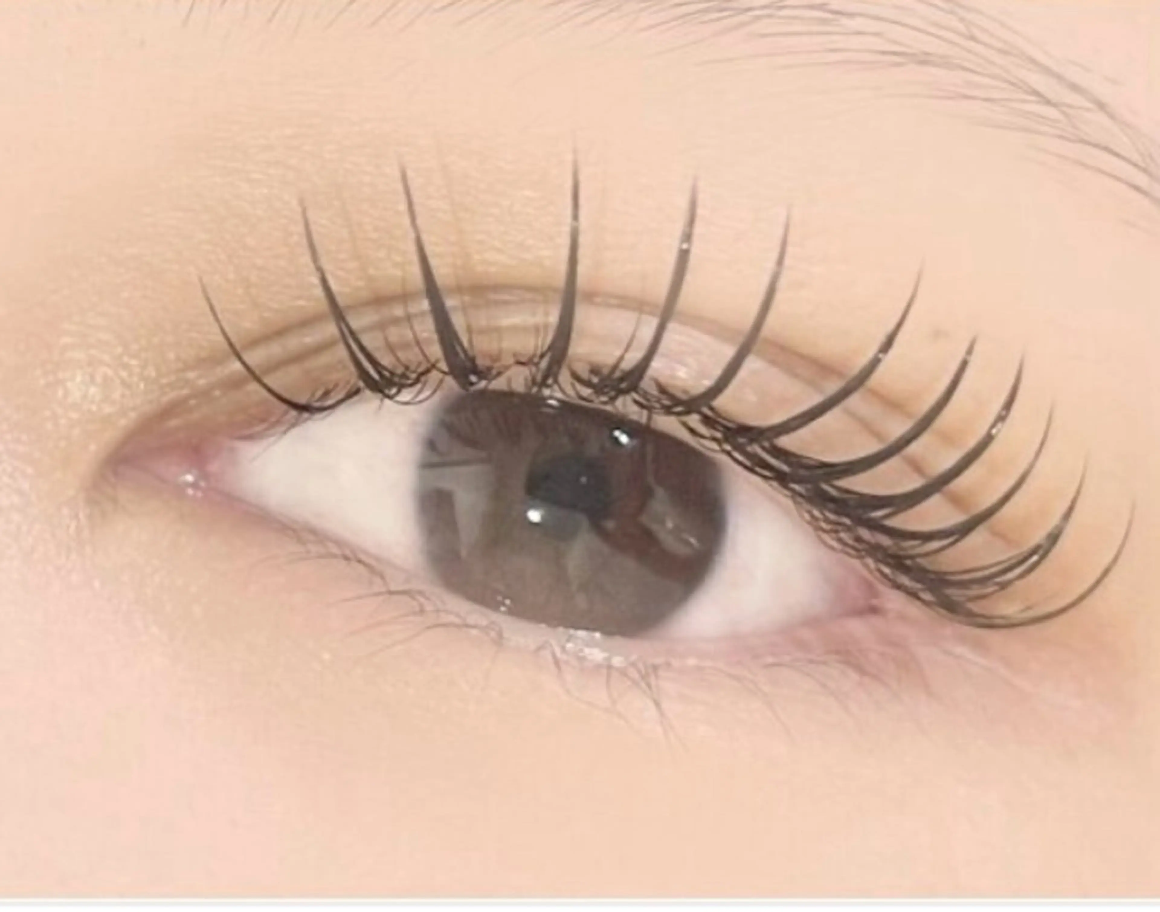 【1名限定】LEDマツエクフラットラッシュ120本　モデル様募集❣️☀️✨　Makea武蔵浦和店にて施術させて頂きます！の写真