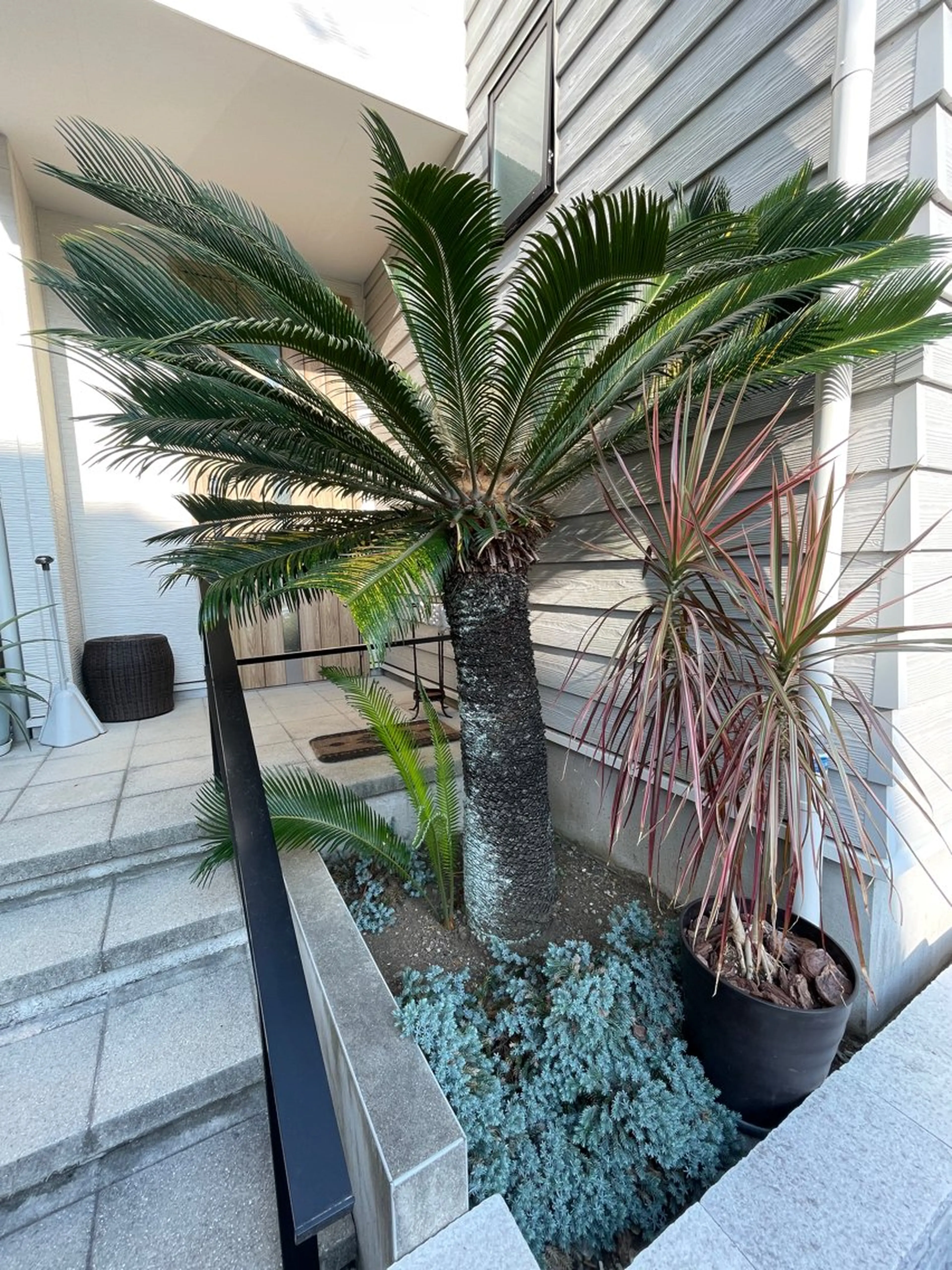 シミケア専科 Babyfaceのエステ・リラクイメージ