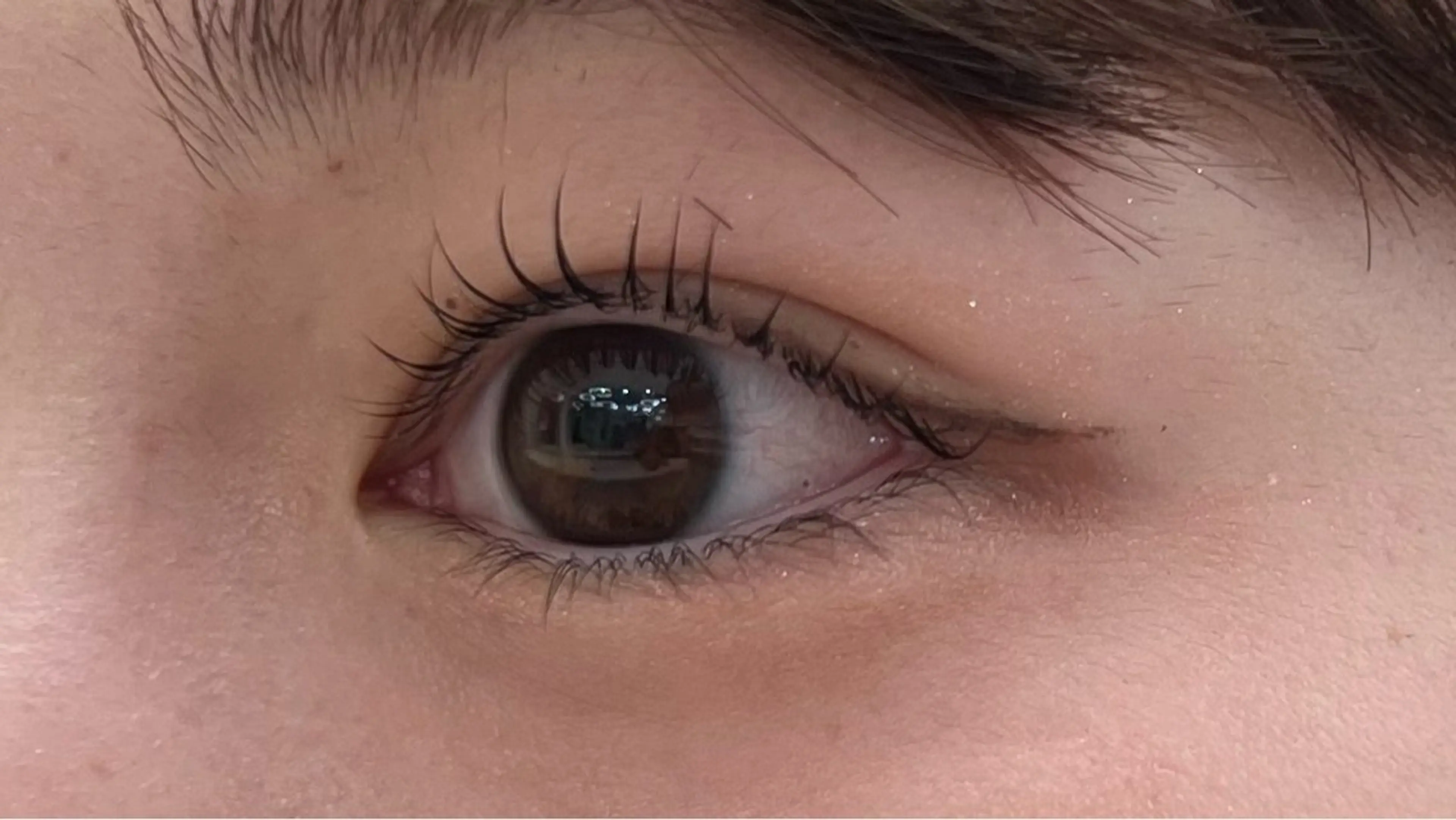 【本日限定】まつげパーマ（補足説明，掲載情報をご覧ください）の写真