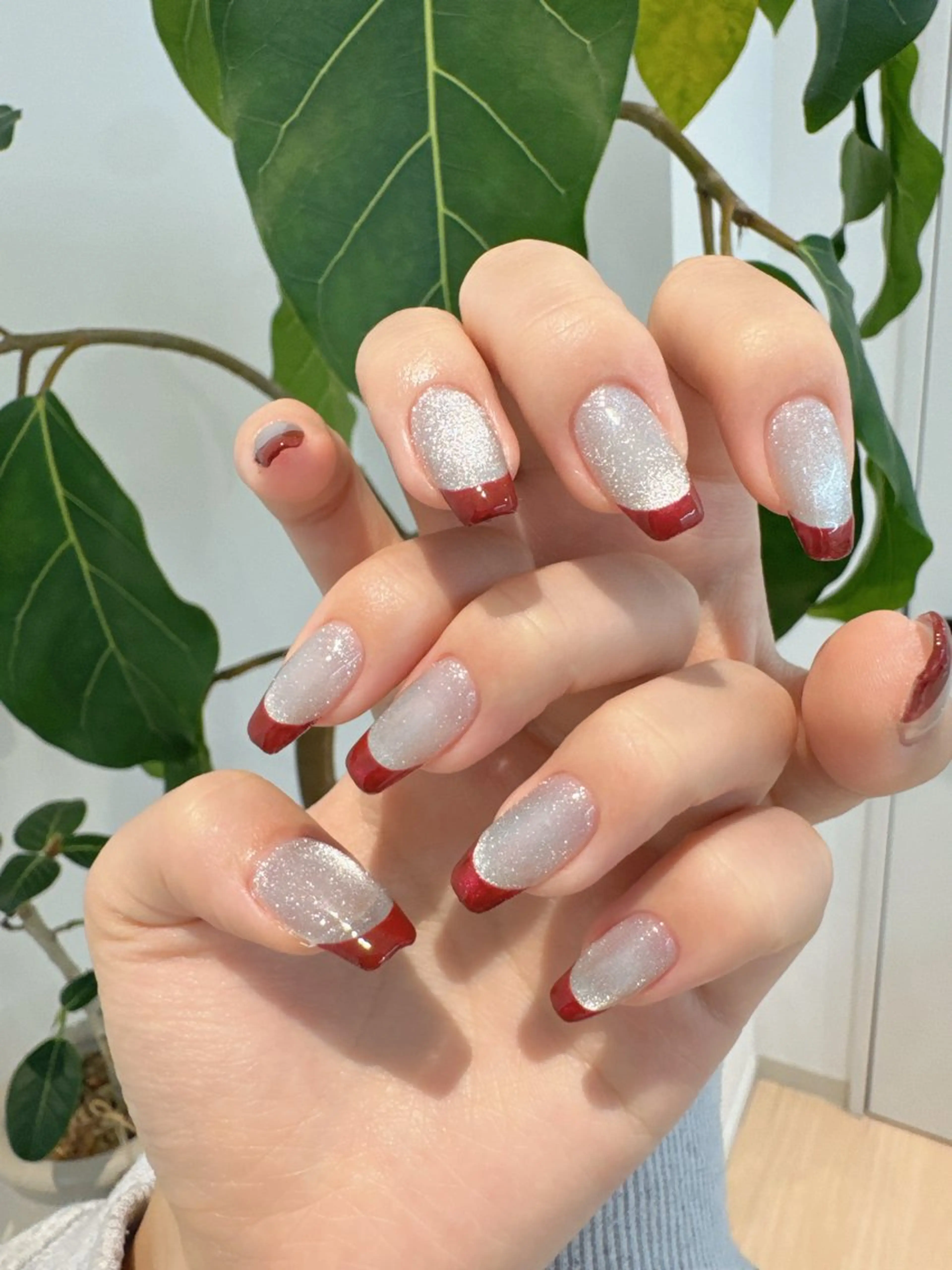 🦋美フォルムフレンチ(マグネットベース)💫練習モデル募集の写真