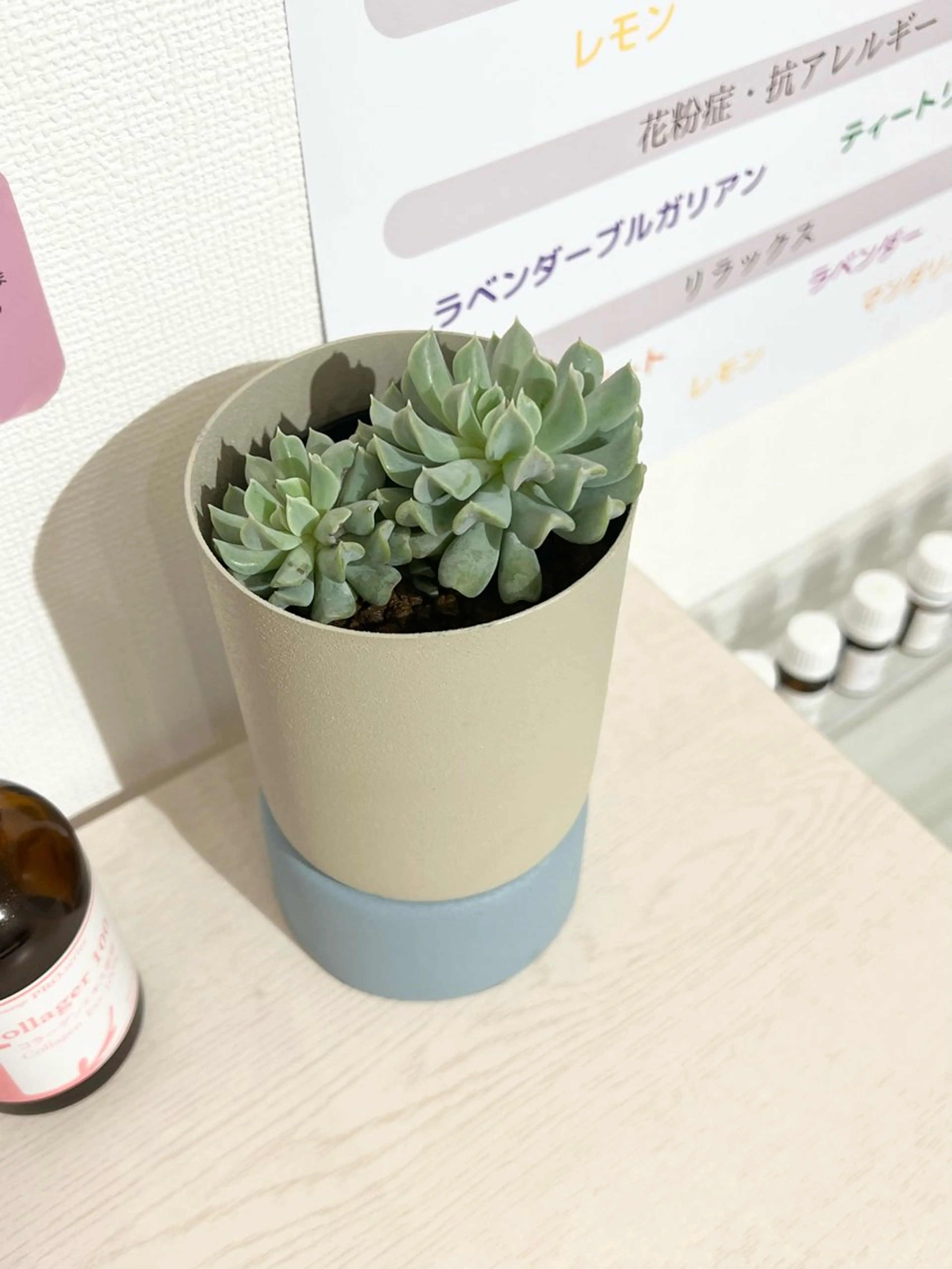 小顔・ツルツル素肌 ハリステリアのエステ・リラクイメージ