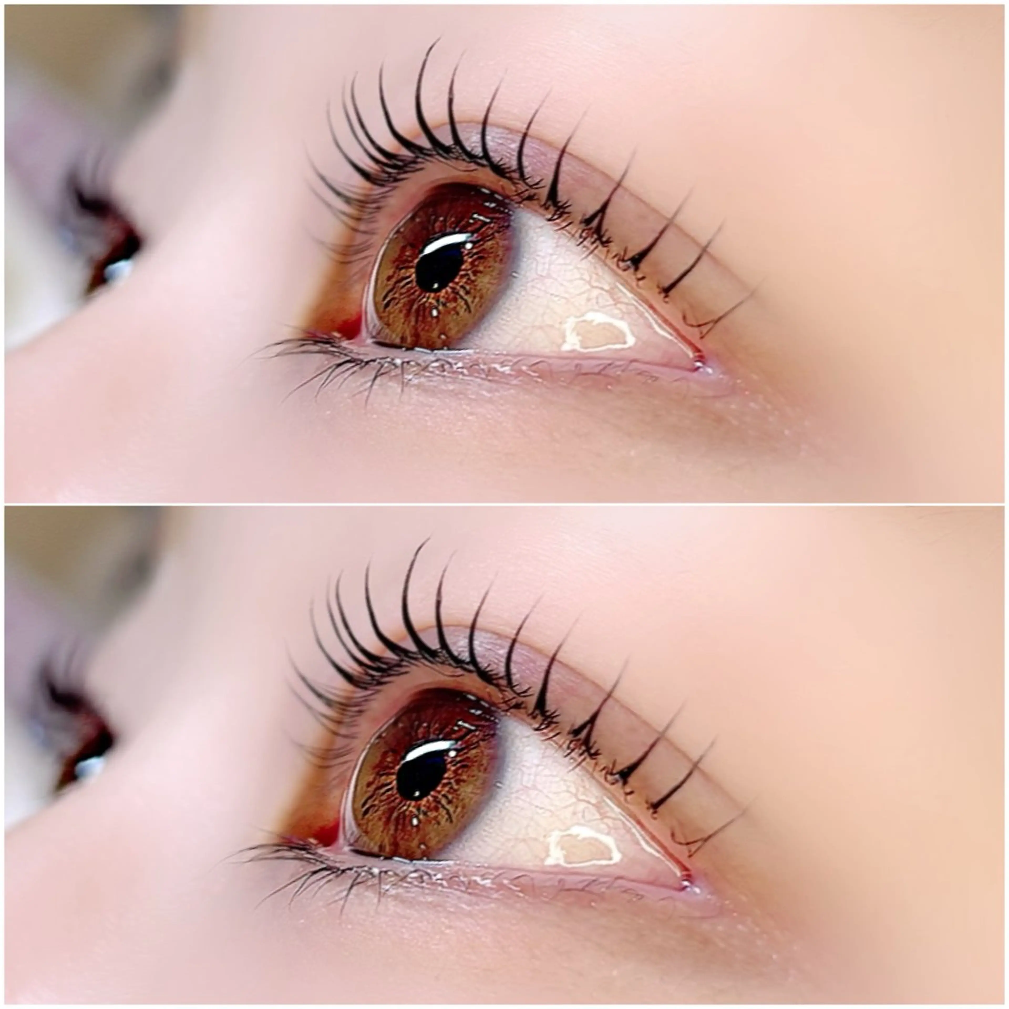 マツエク・マツパ ナチュラル 一重×まつ毛パーマ マツパ lagoon eyelashおおとり店所属・ラグーンアイラッシュ 鳳店のマツエク・マツパデザイン