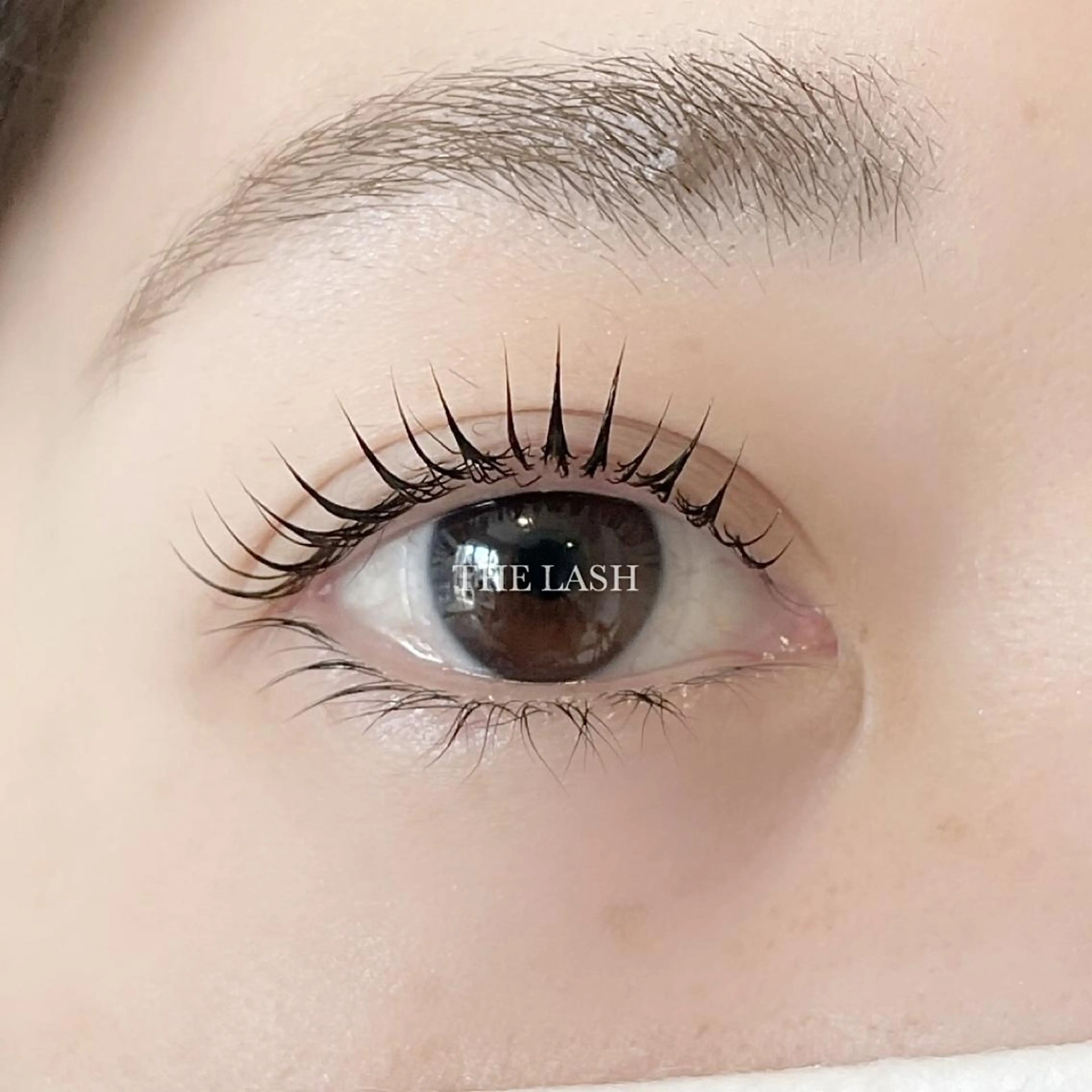 マツエク・マツパ Adagio staffのマツエク・マツパデザイン