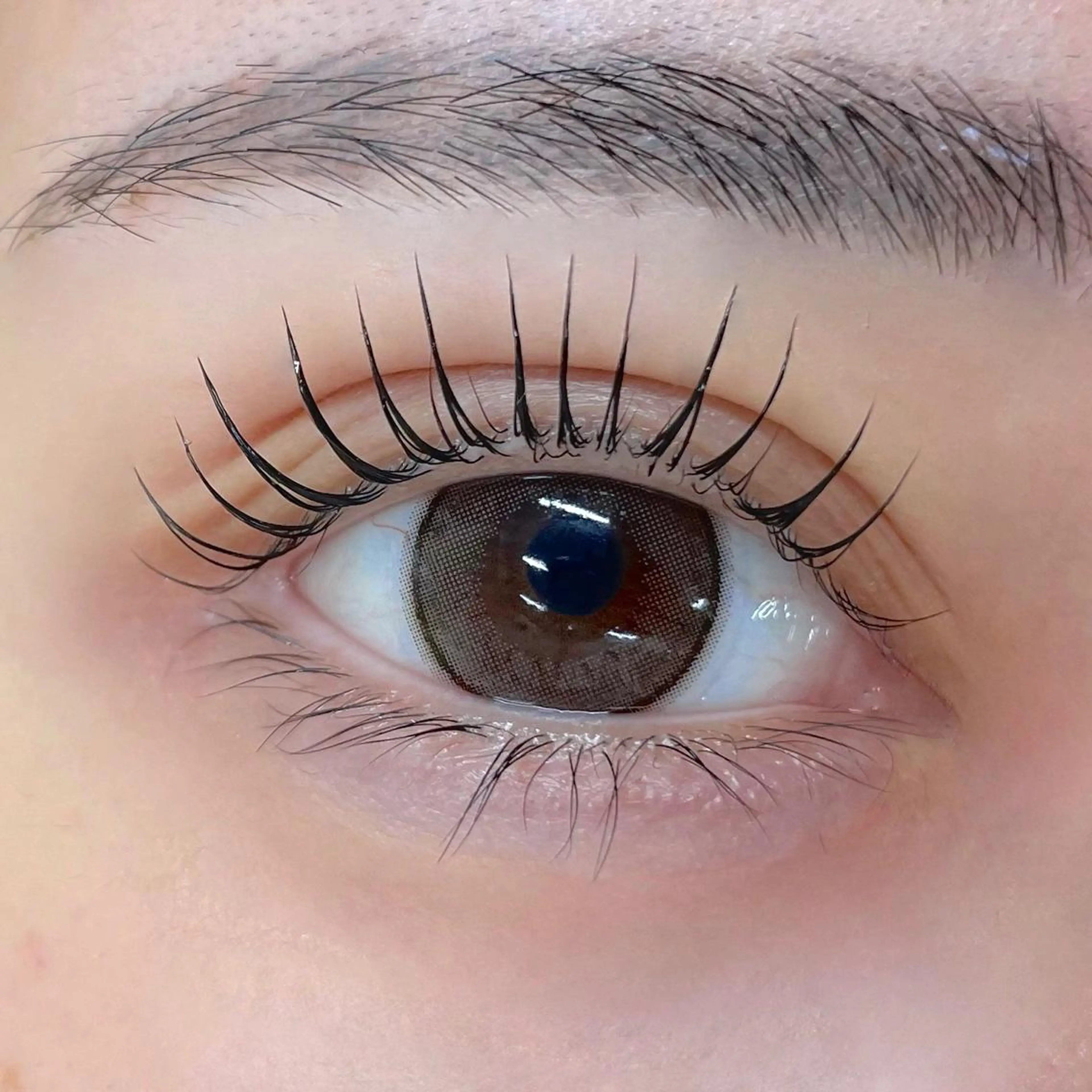 マツエク・マツパ shuon 武蔵境店所属・【武蔵境店】工藤 さくらのマツエク・マツパデザイン