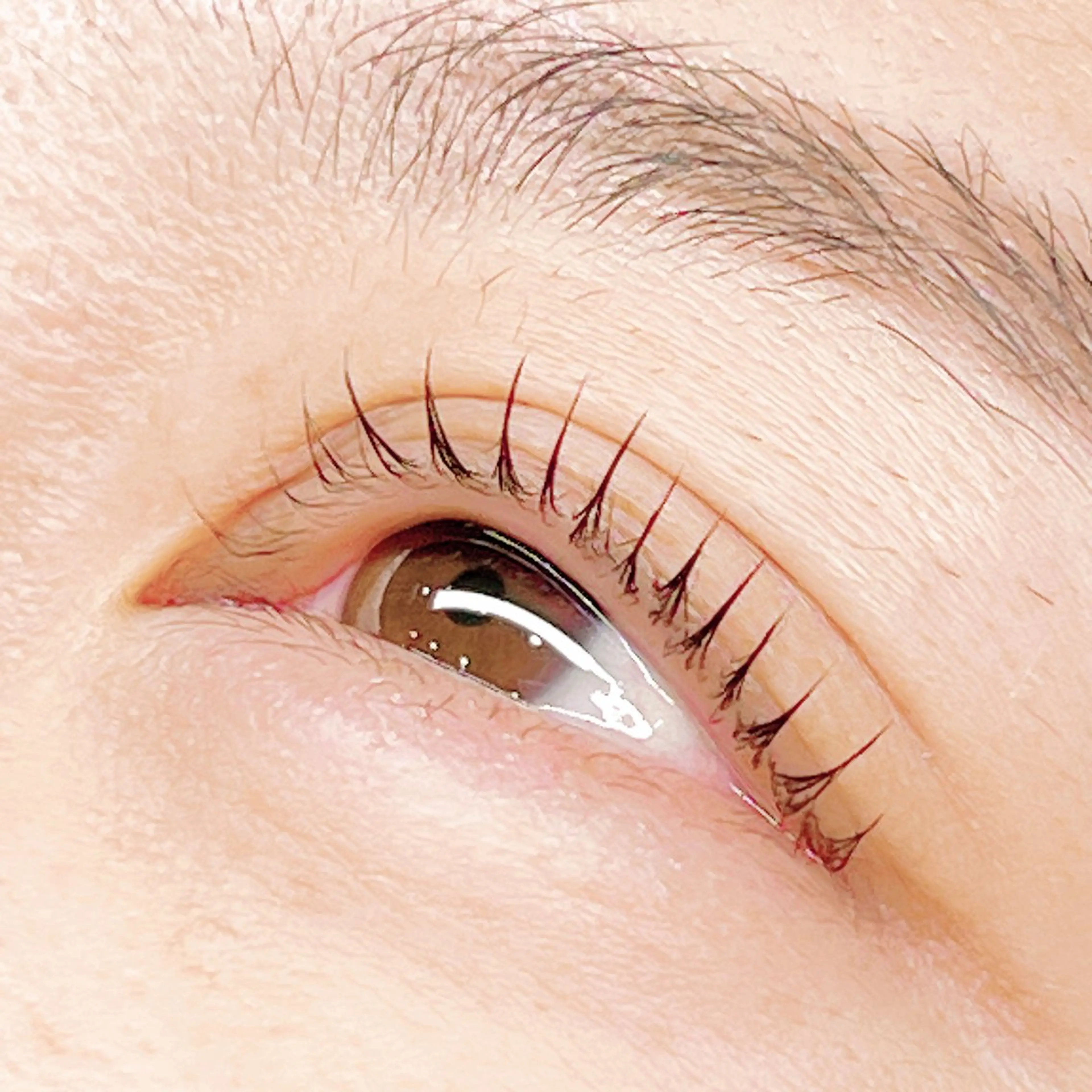 お試し♪上ラッシュリフト(アイパック付)の写真