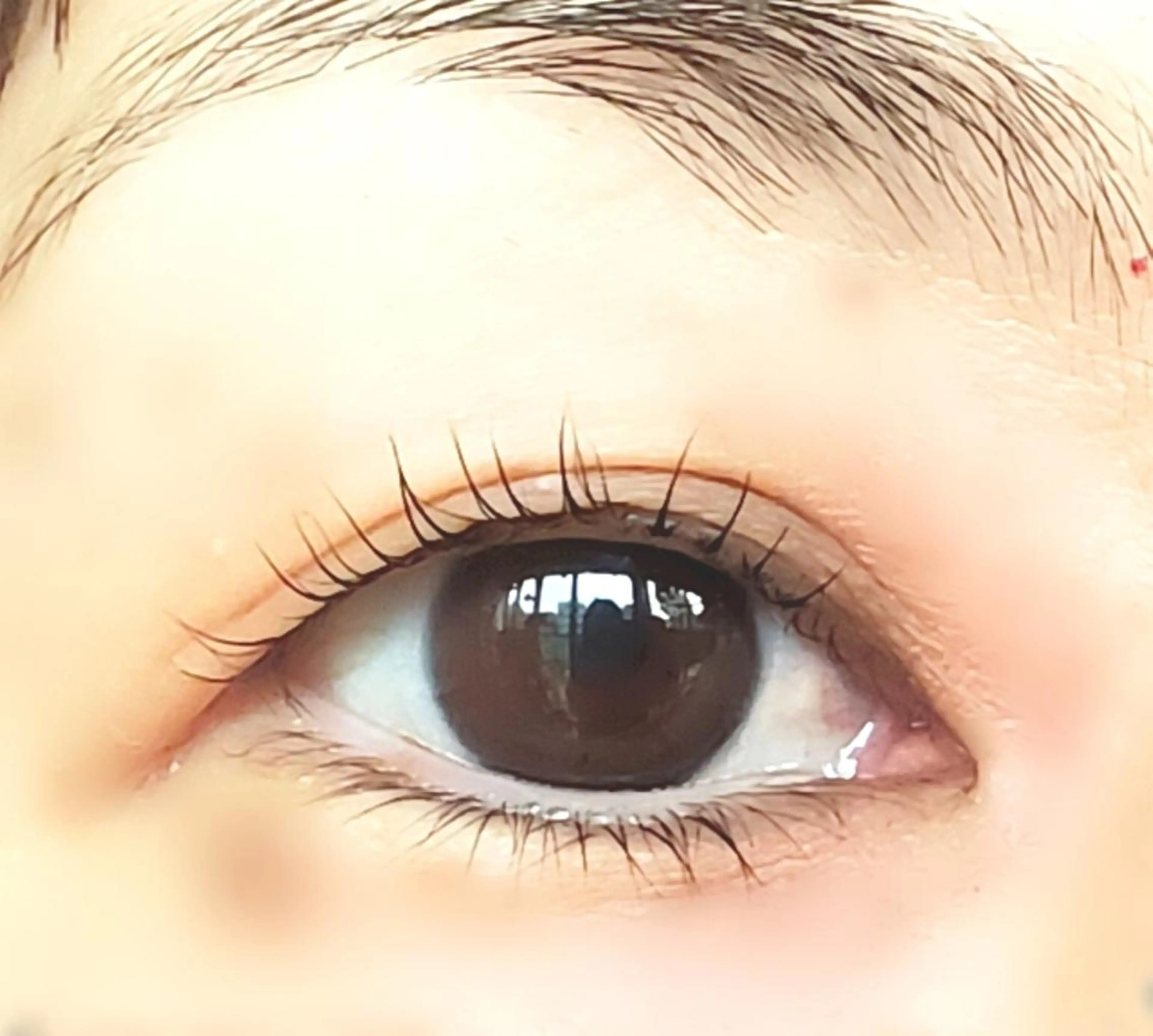 上まつ毛パーマ⭐ラッシュコントロールシステム使用でダメージケア⭐初回アイシャンプー付き🍀の写真