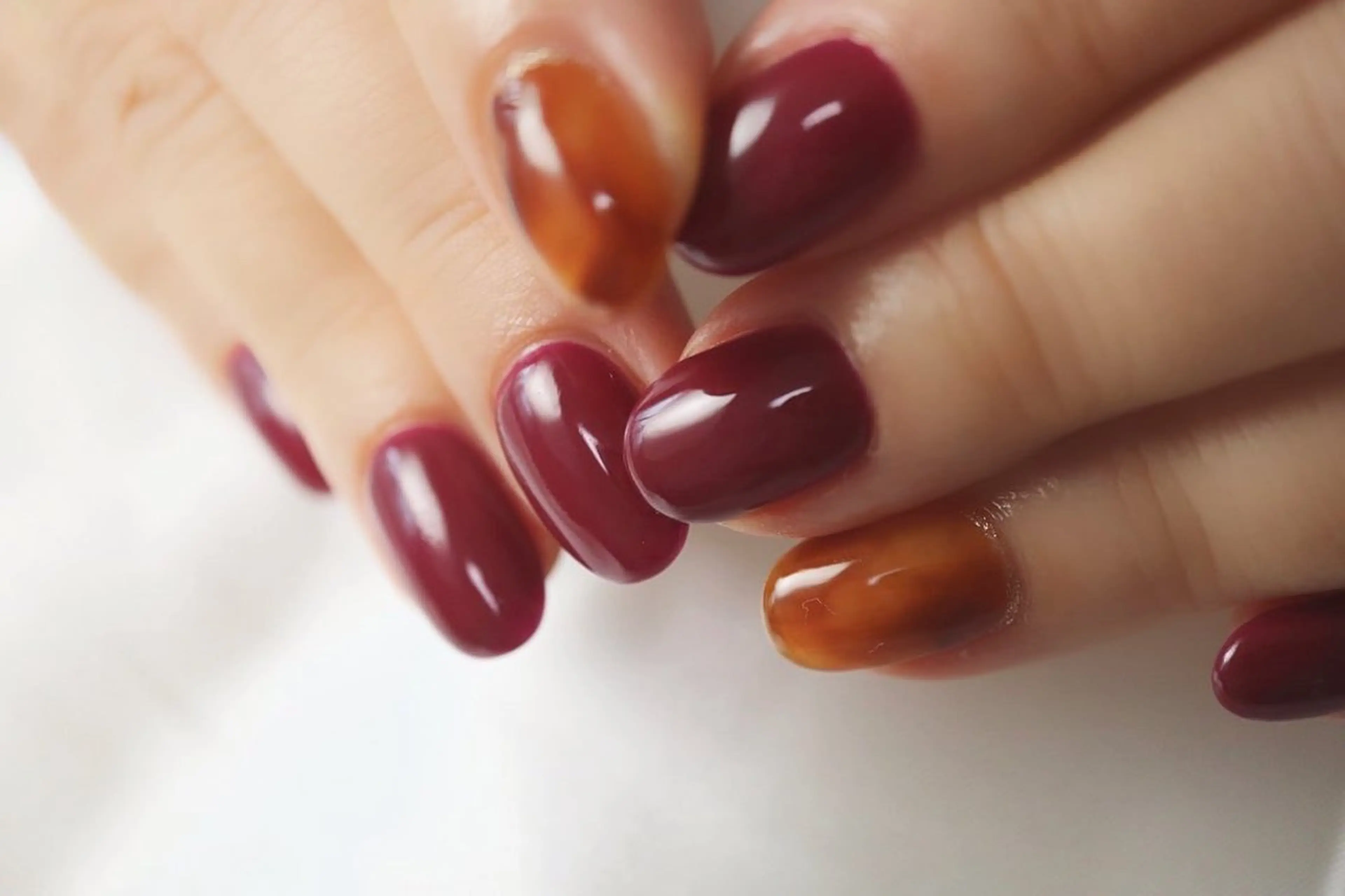 アート2本コースの写真