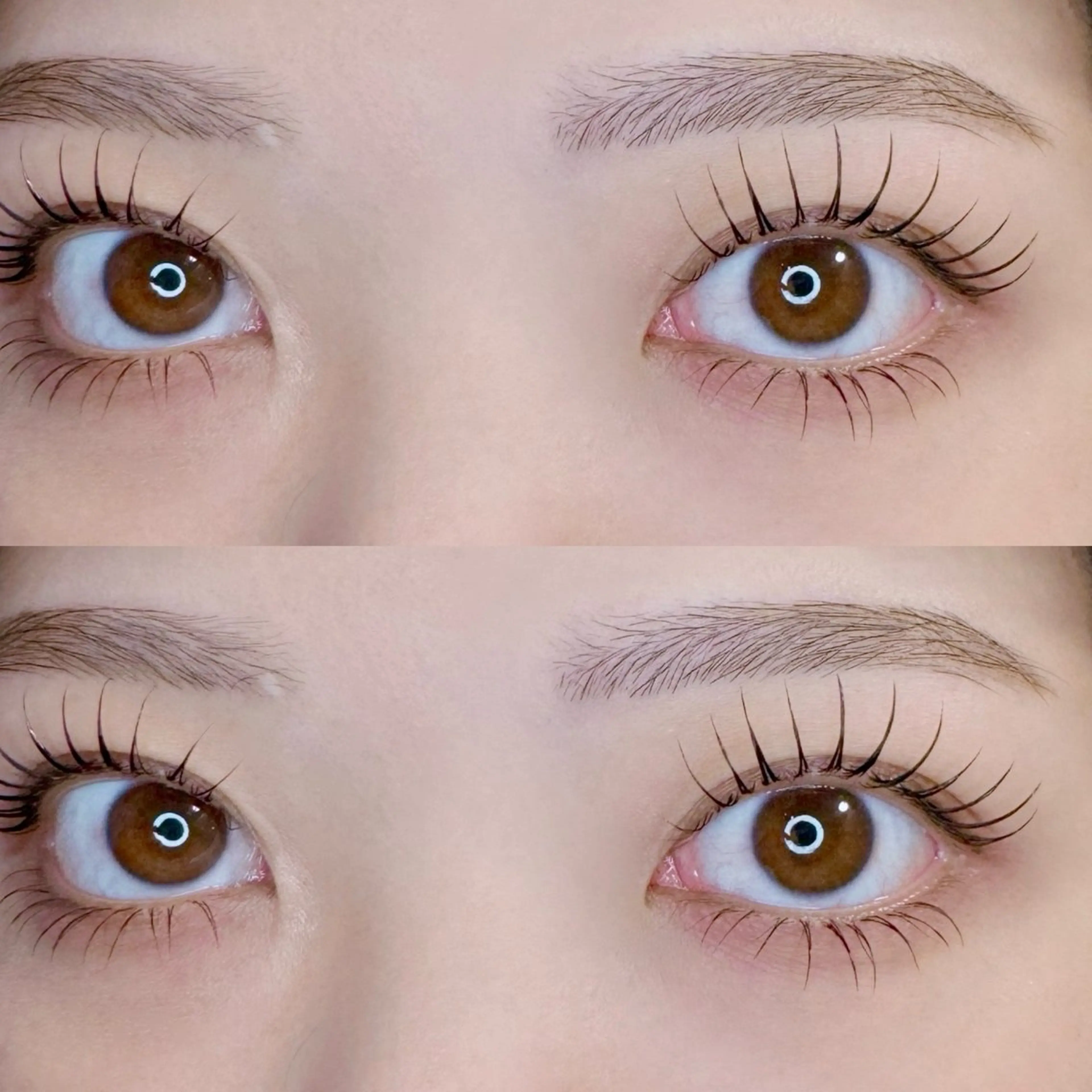 𓊆盛れるセット♡𓊇上まつパ×下まつエクの写真