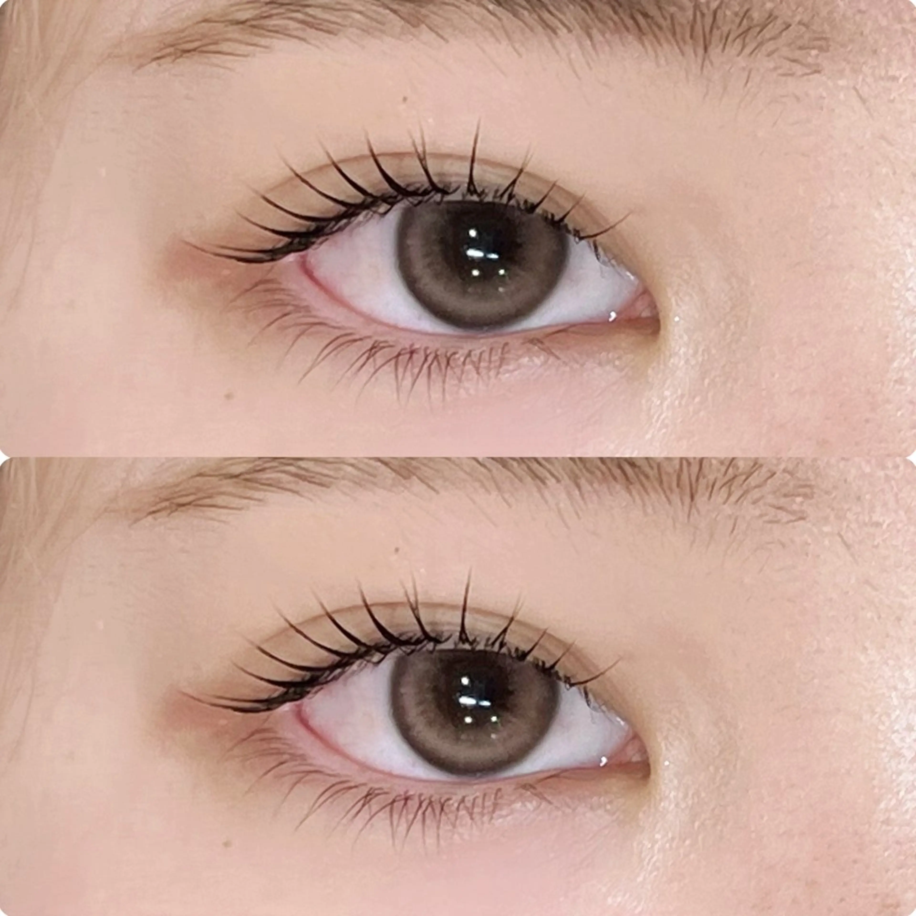 【60分仕上げ】 🌼美容液成分配合まつ毛パーマ‎ 3種類のメニューから当日相談でご案内💕￥4900​〜​の写真