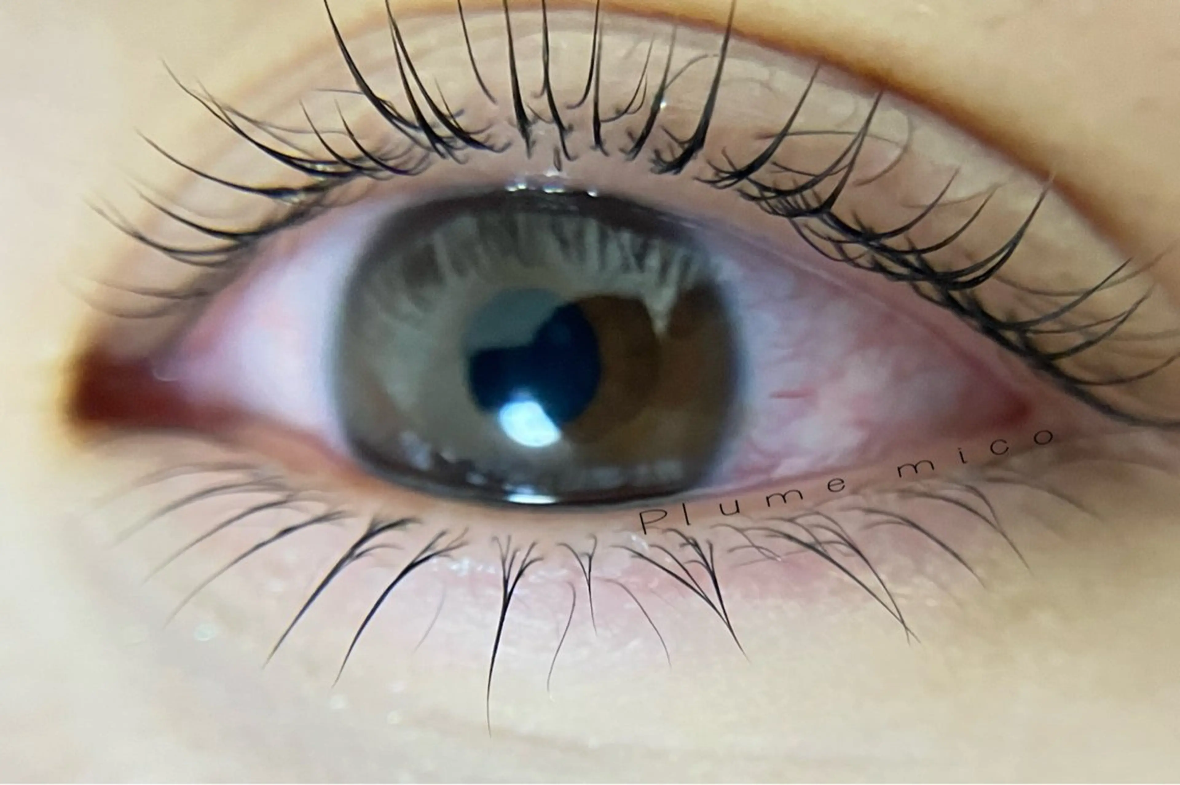 マツエク・マツパ マツパ Plume micoのマツエク・マツパデザイン