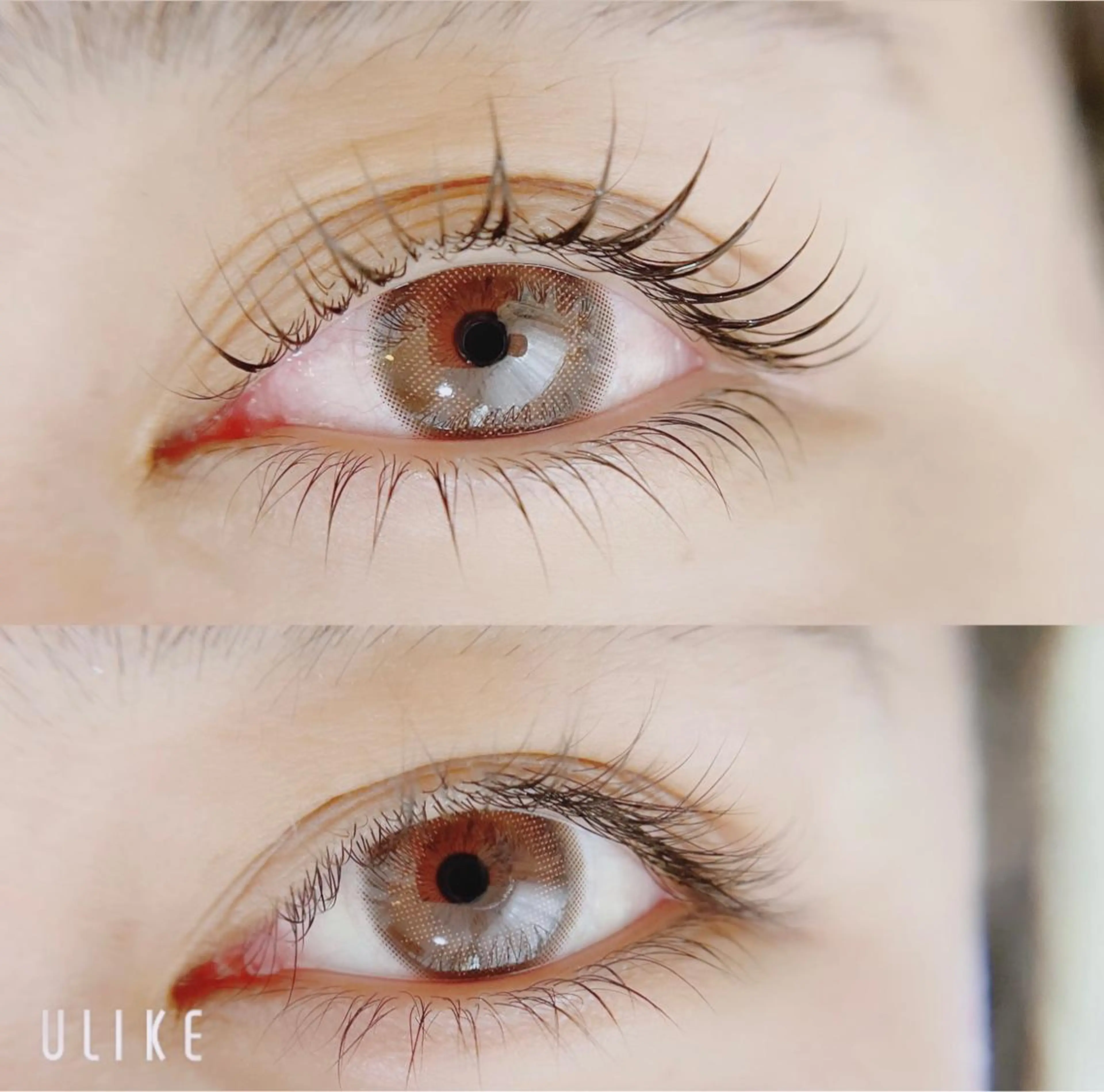 マツエク・マツパ マツパ Lotus.所属・Lotus. makoのエステ・リラクイメージ