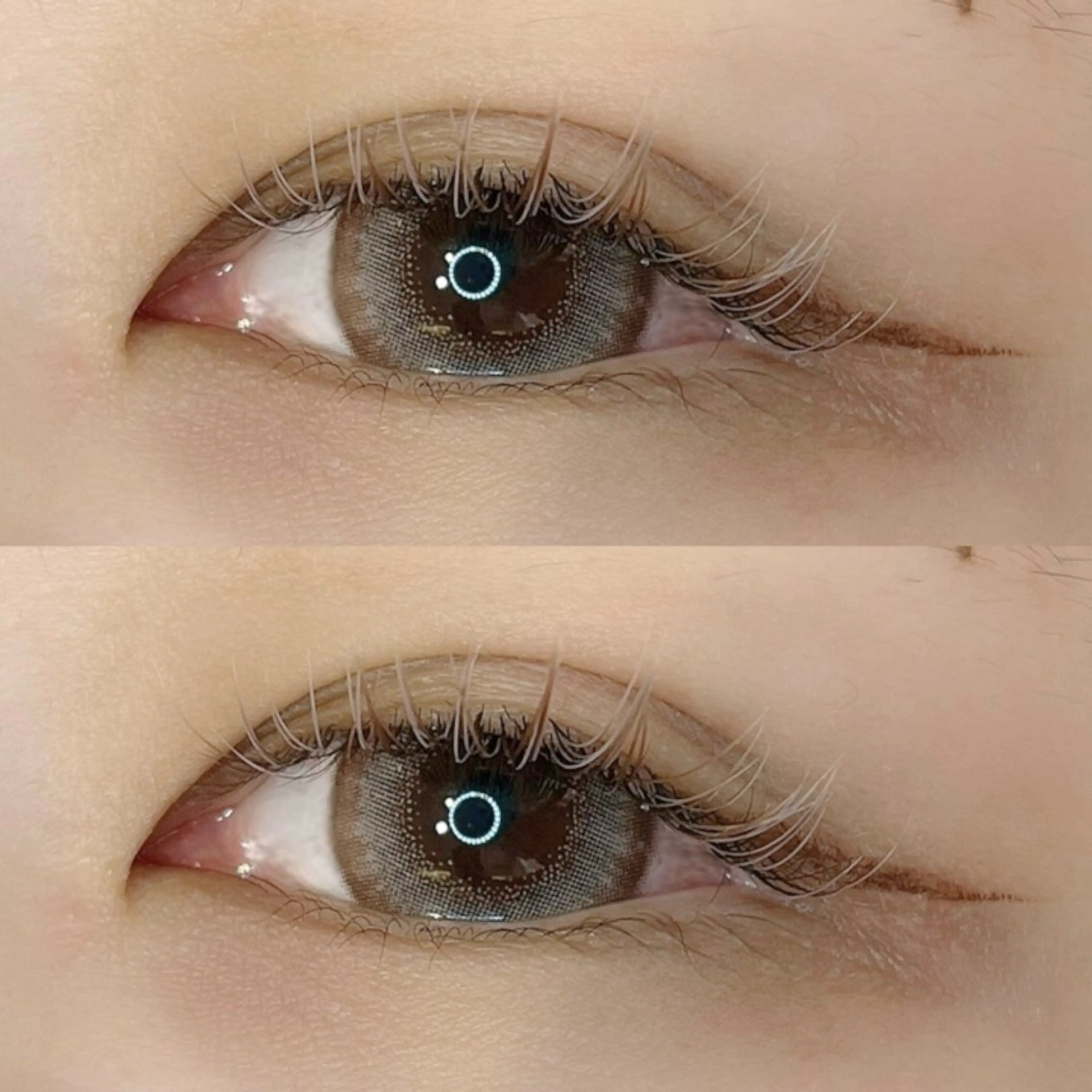 【11月限定】マツエク.フラットラッシュ120本🍂ˎˊ˗の写真