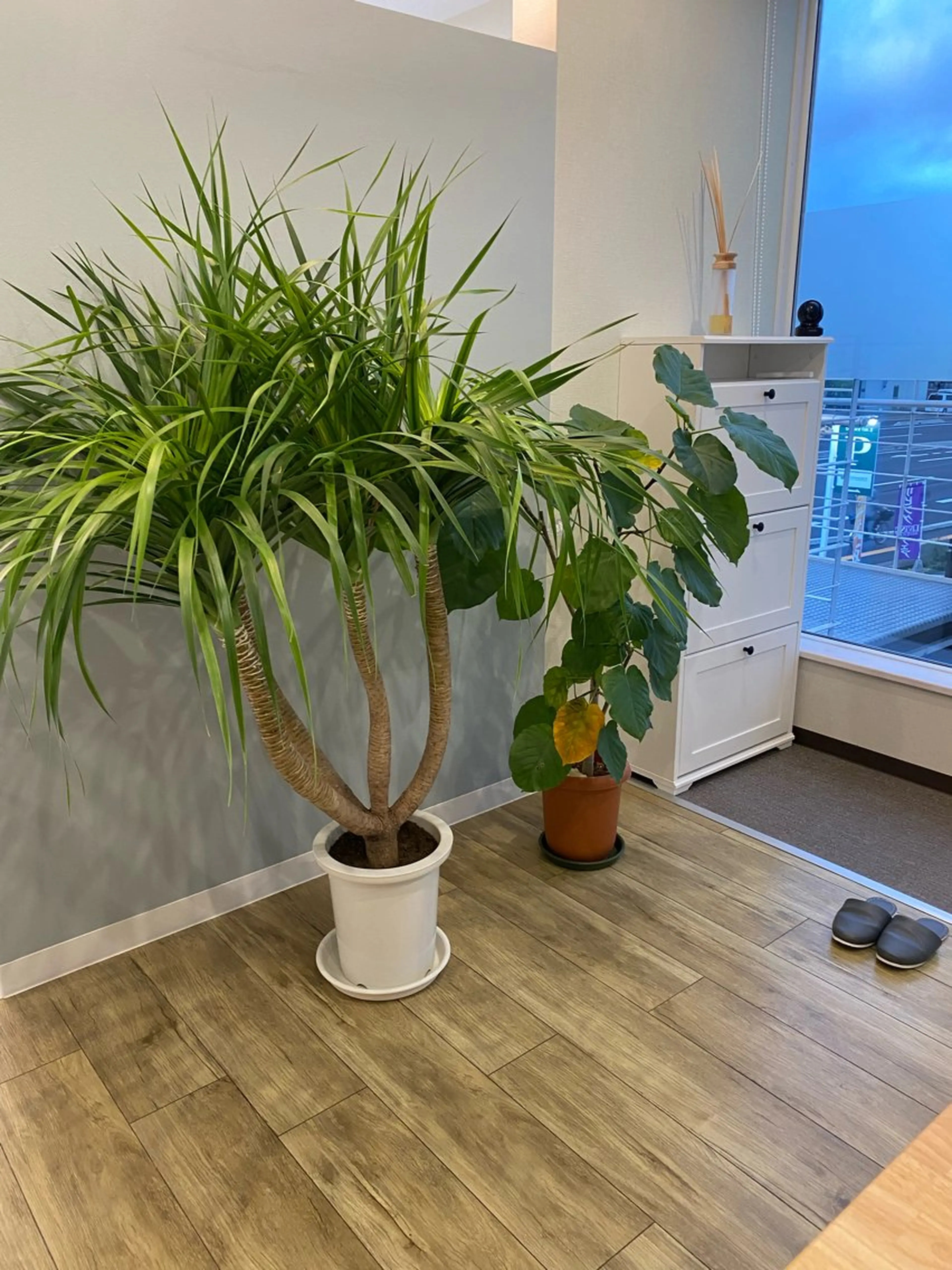 その他 エクシアホワイトニング草津店所属・nanami -ホワイトニングのその他イメージ