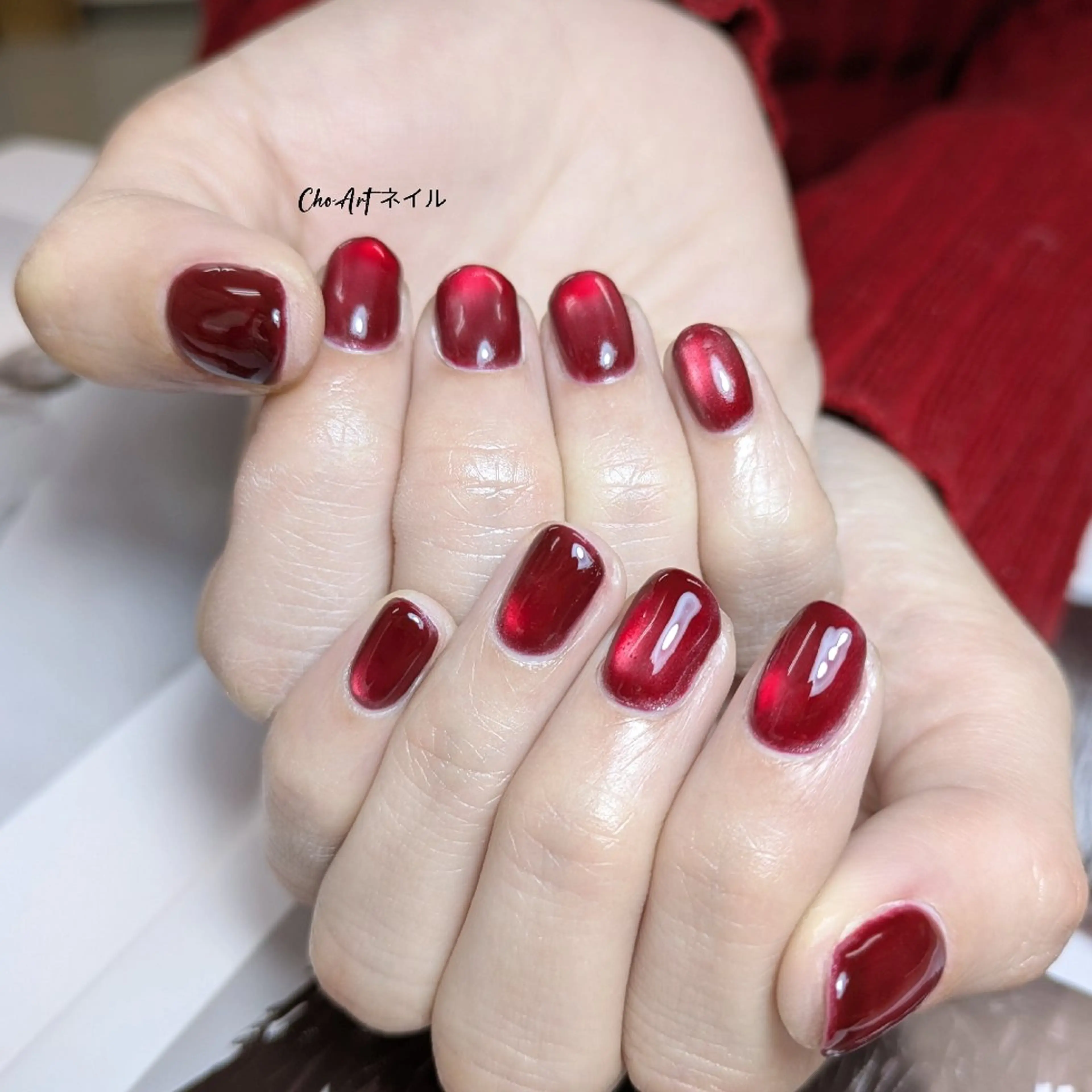 ネイル アートネイル キラキラネイル ラメ(グリッター) マグネットネイル ミラーネイル Cho Artネイル所属・ronronne .のネイルデザイン