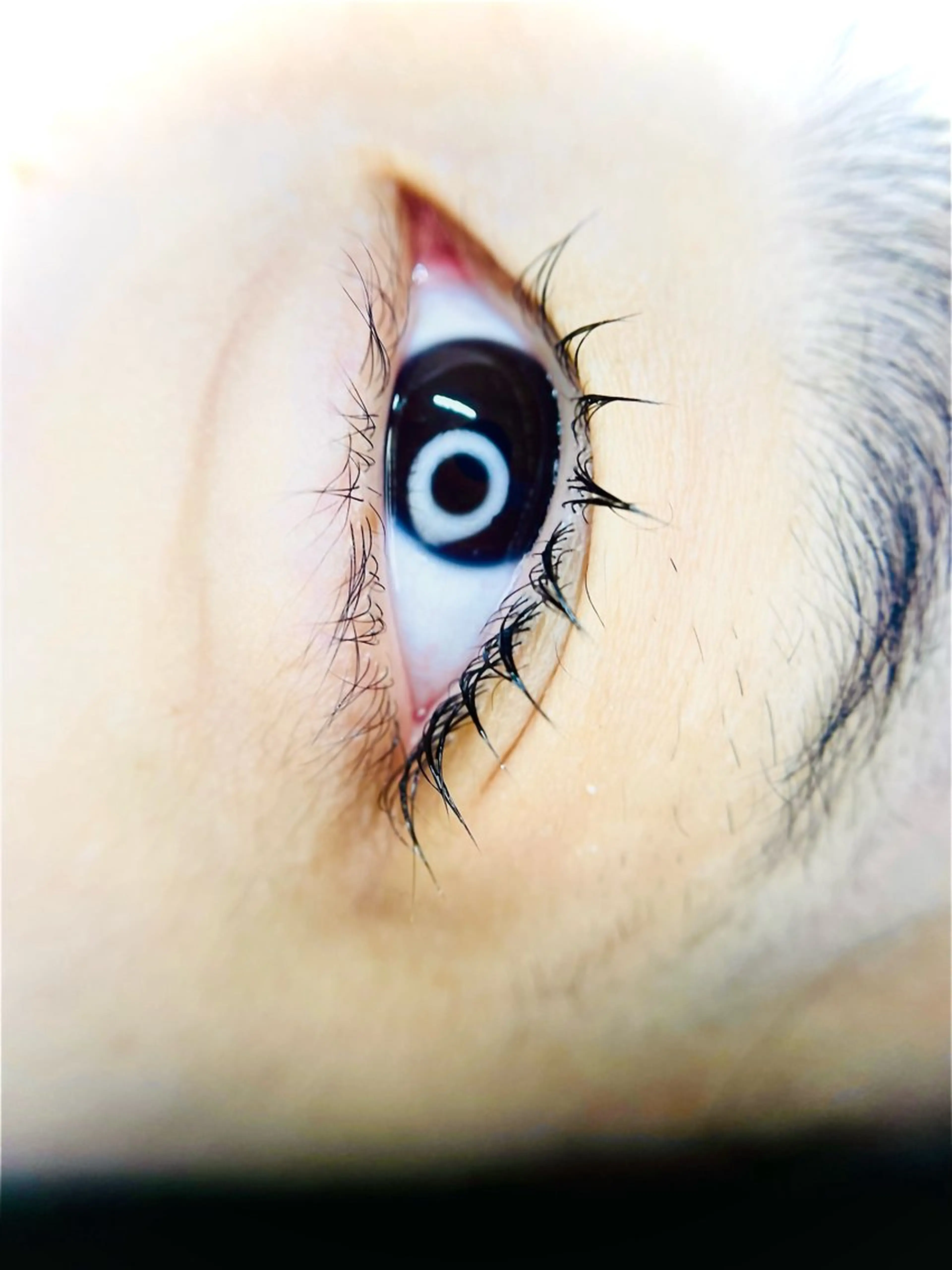 パリジェンヌラッシュリフトコーティング付きの写真