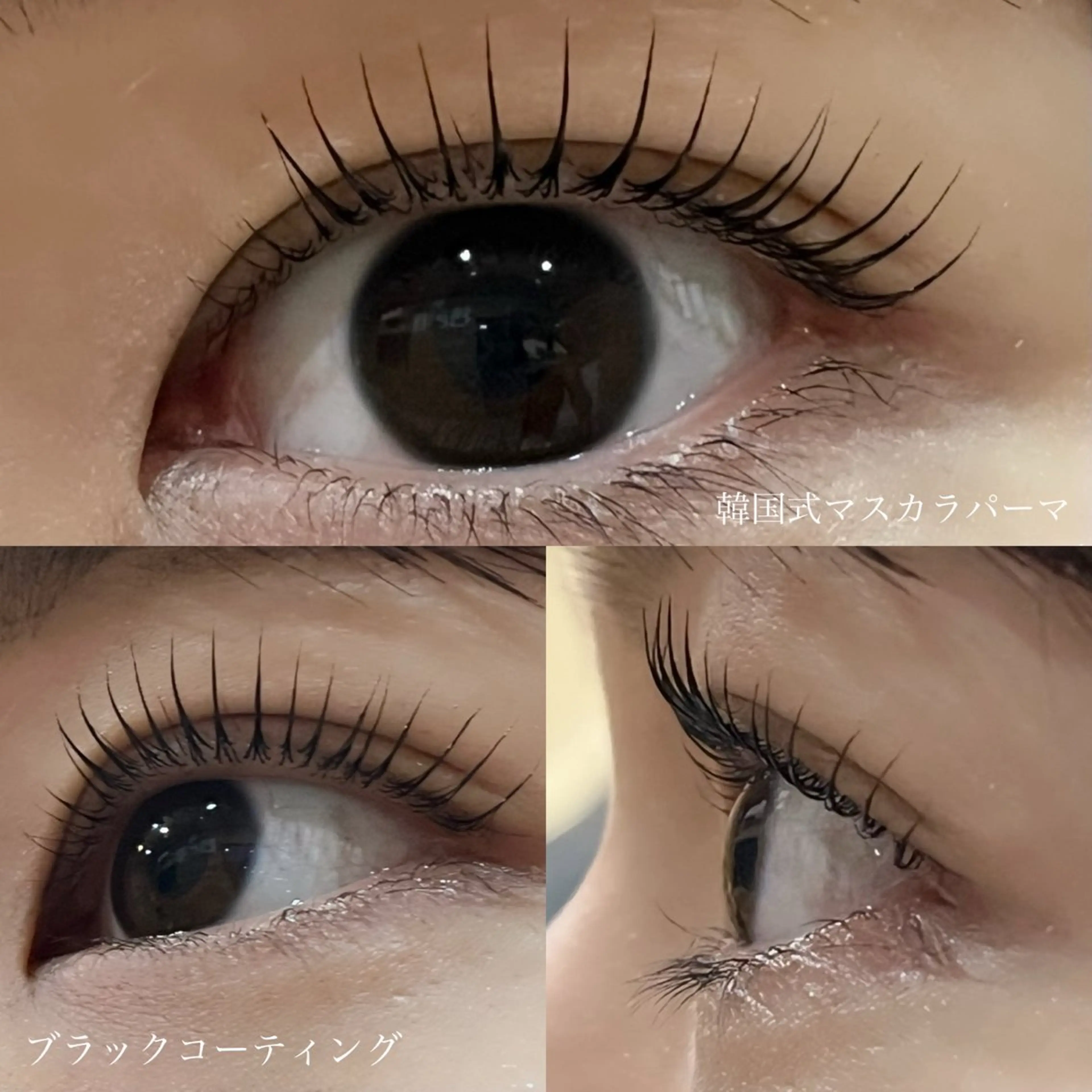 マツエク・マツパ Eyelash Luaのマツエク・マツパデザイン
