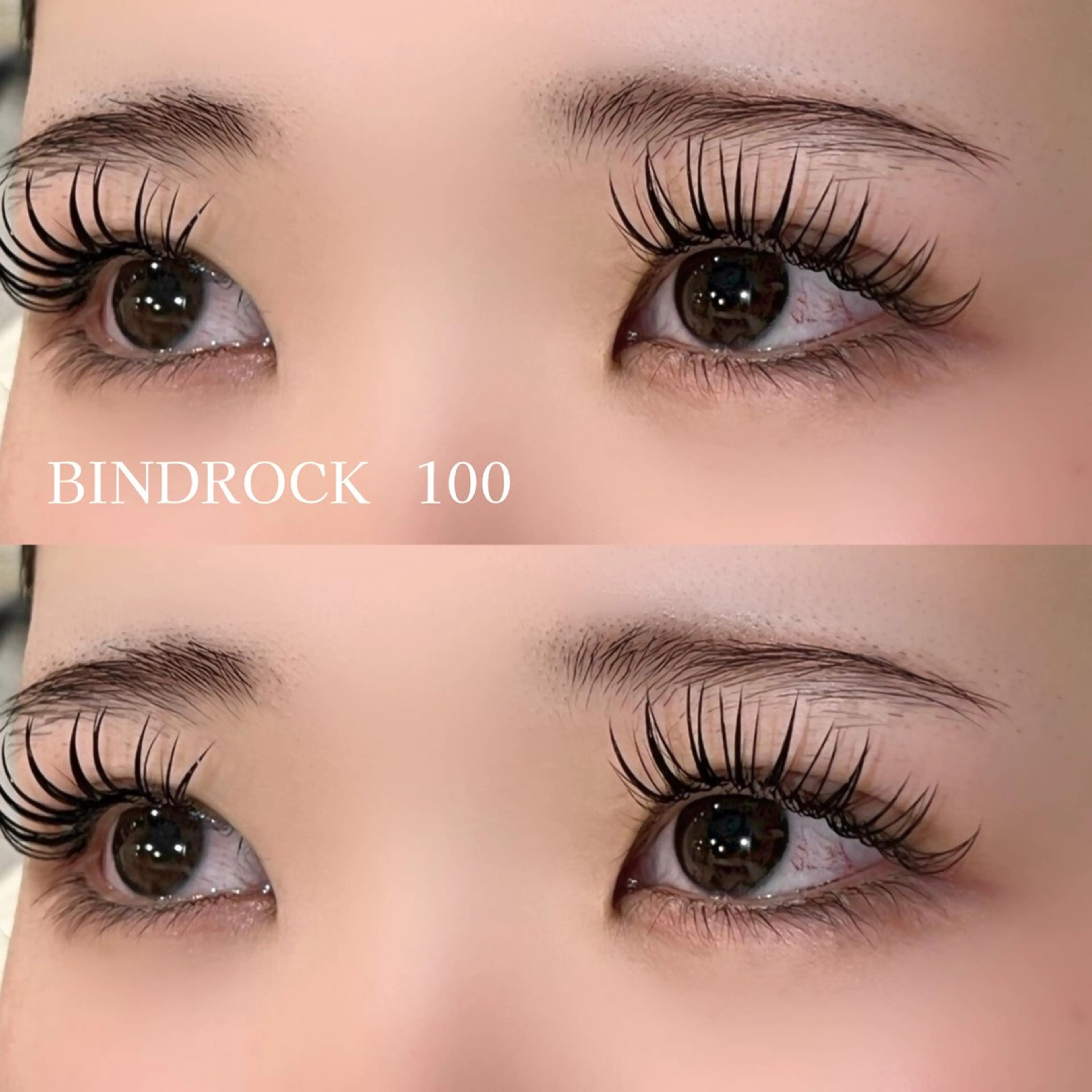 ［マツエク］バインドロック 100束 《初回オフ込》の写真