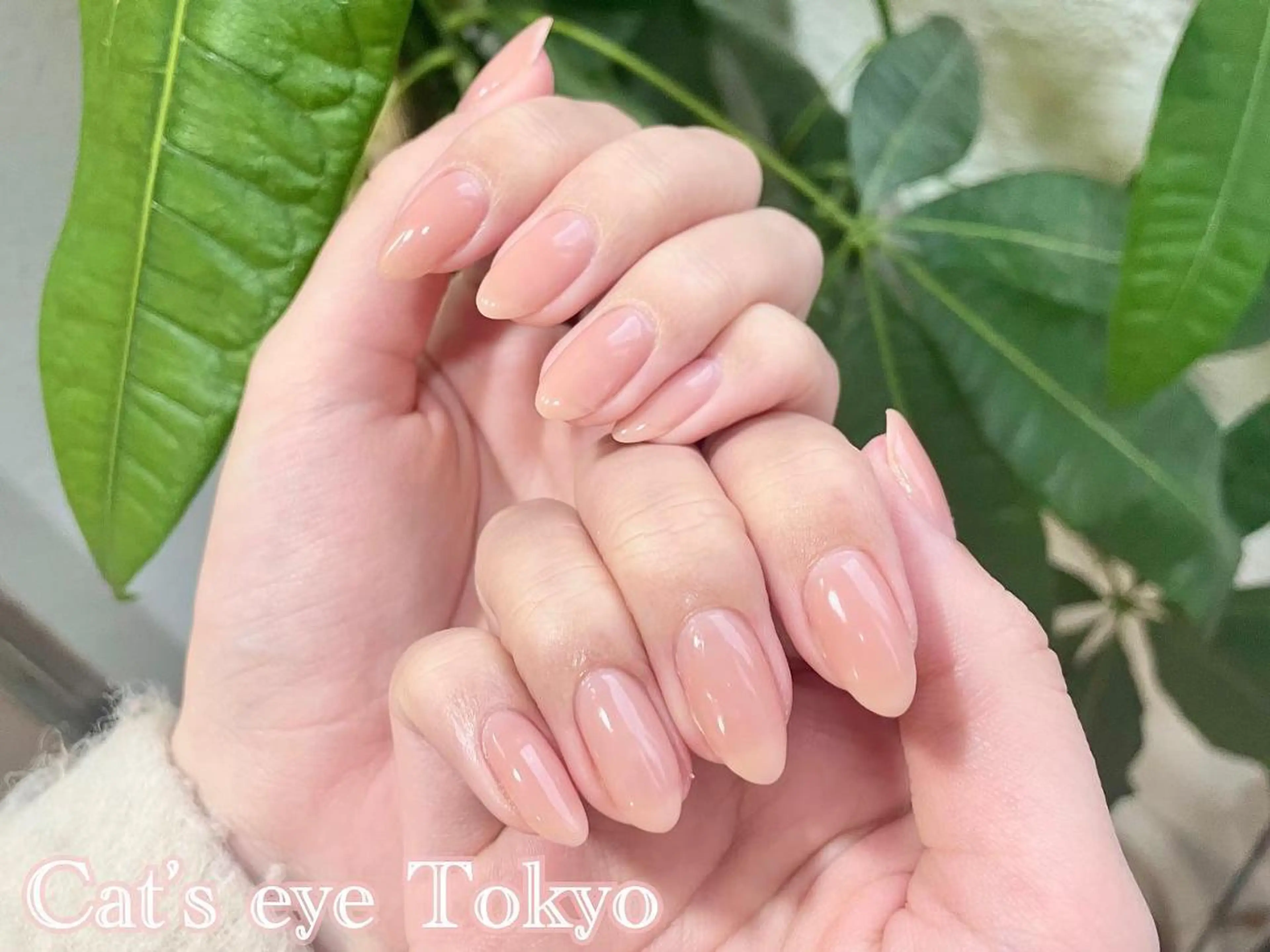 ネイル マツエク・マツパ Cat's eye TOKYO 新宿店のネイルデザイン