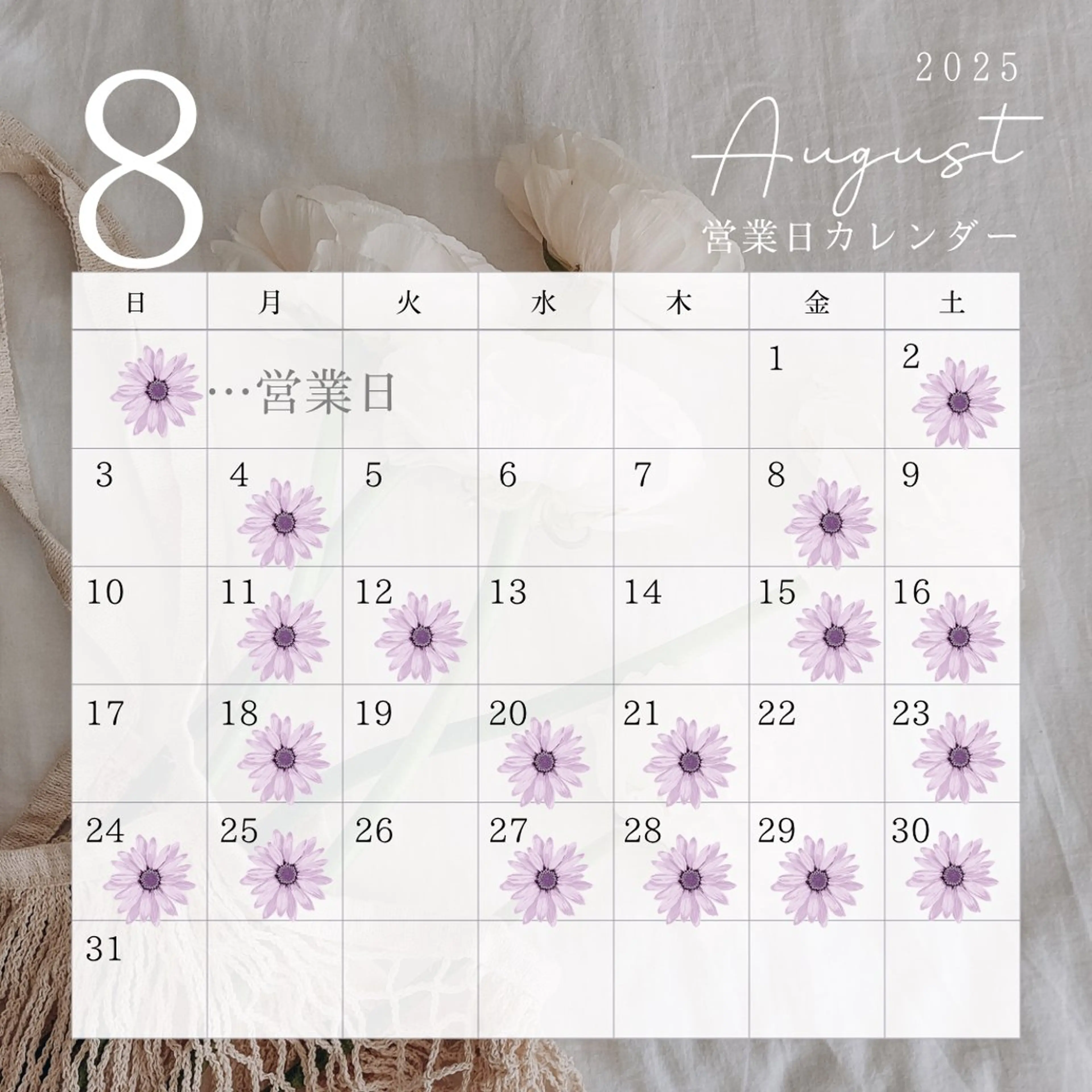 マツエク・マツパ Tani seikaのマツエク・マツパデザイン