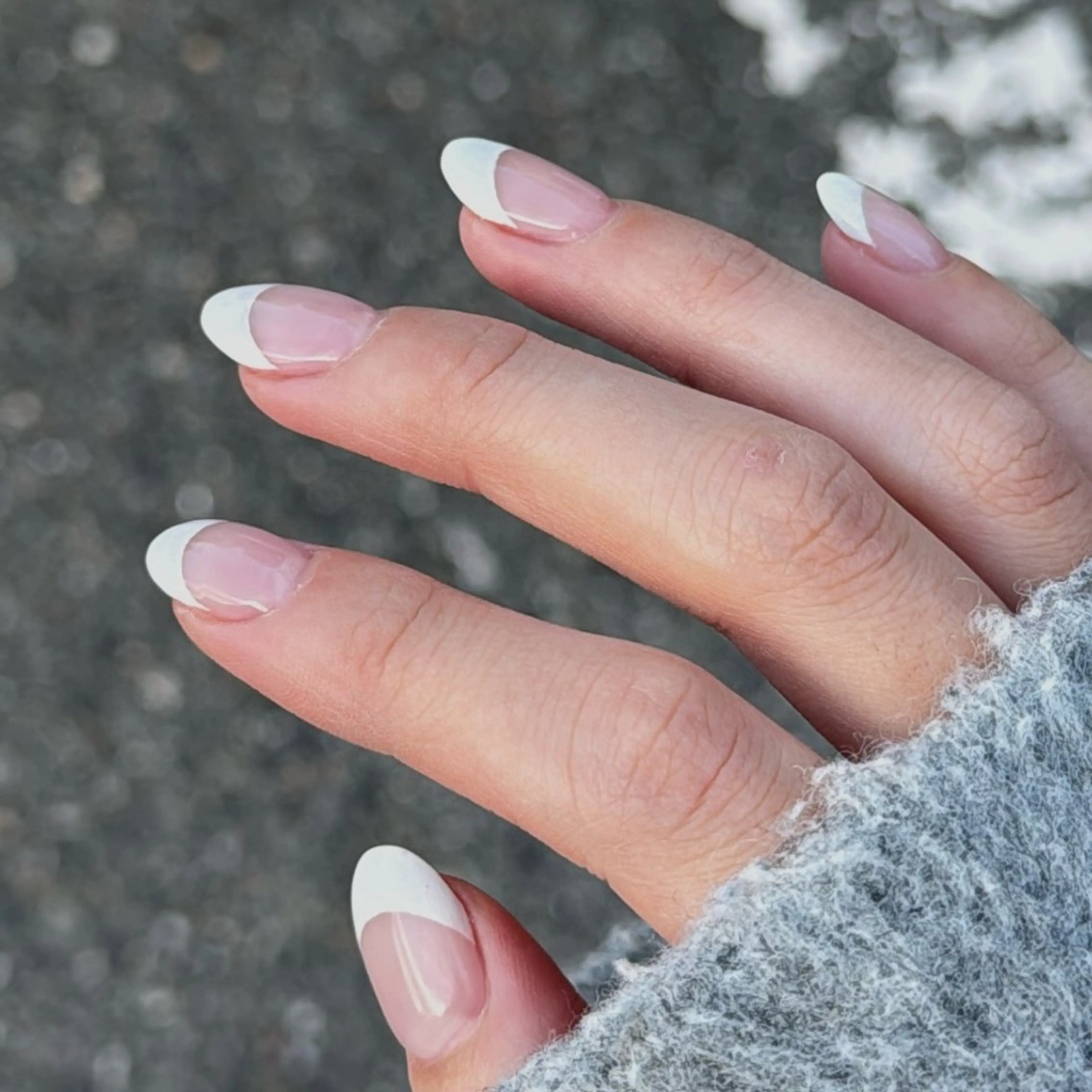 〈オフなし〉フレンチの写真