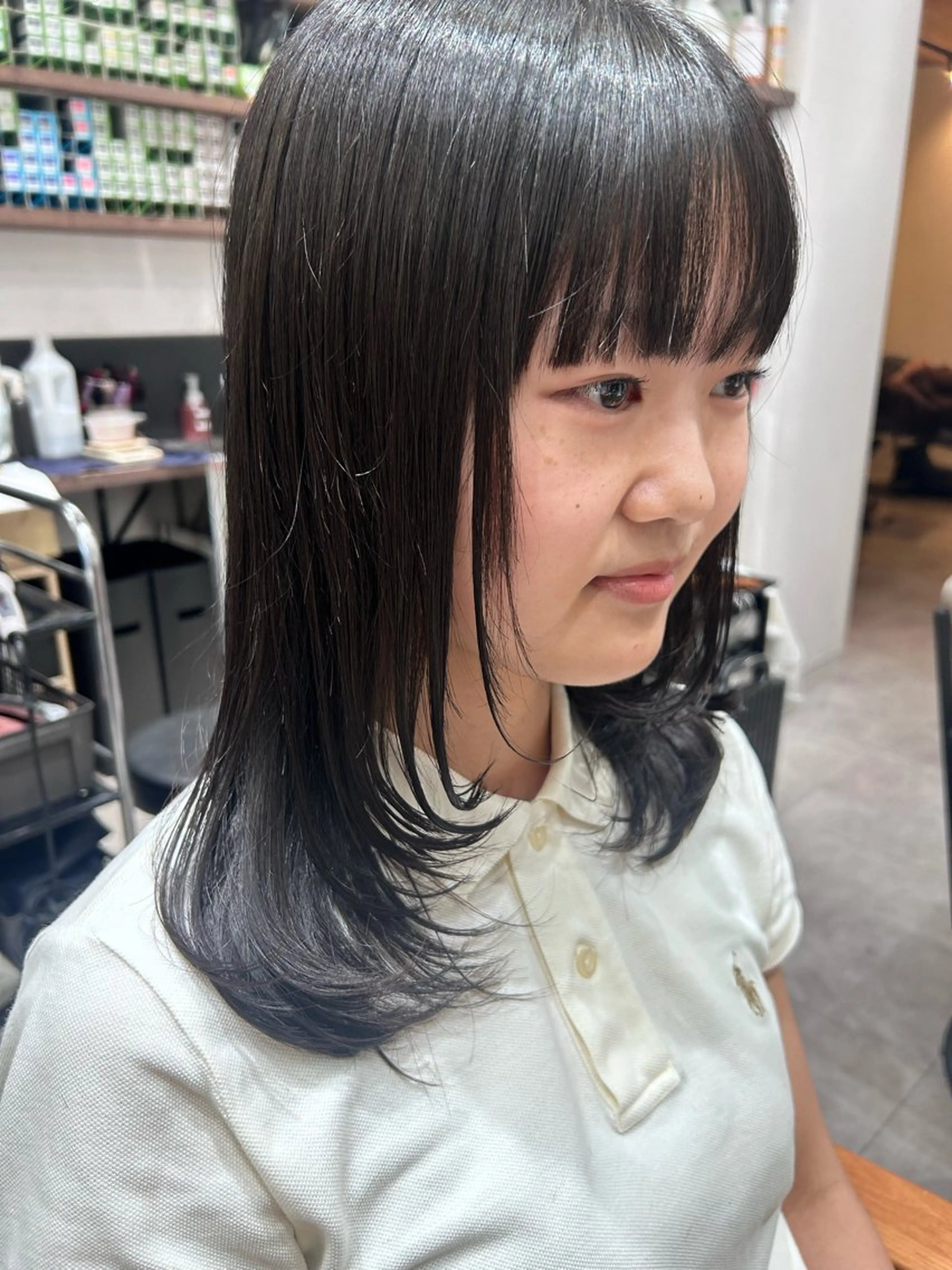 セミロング レイヤー/韓国/ ハッシュ/高田翼のヘアスタイル