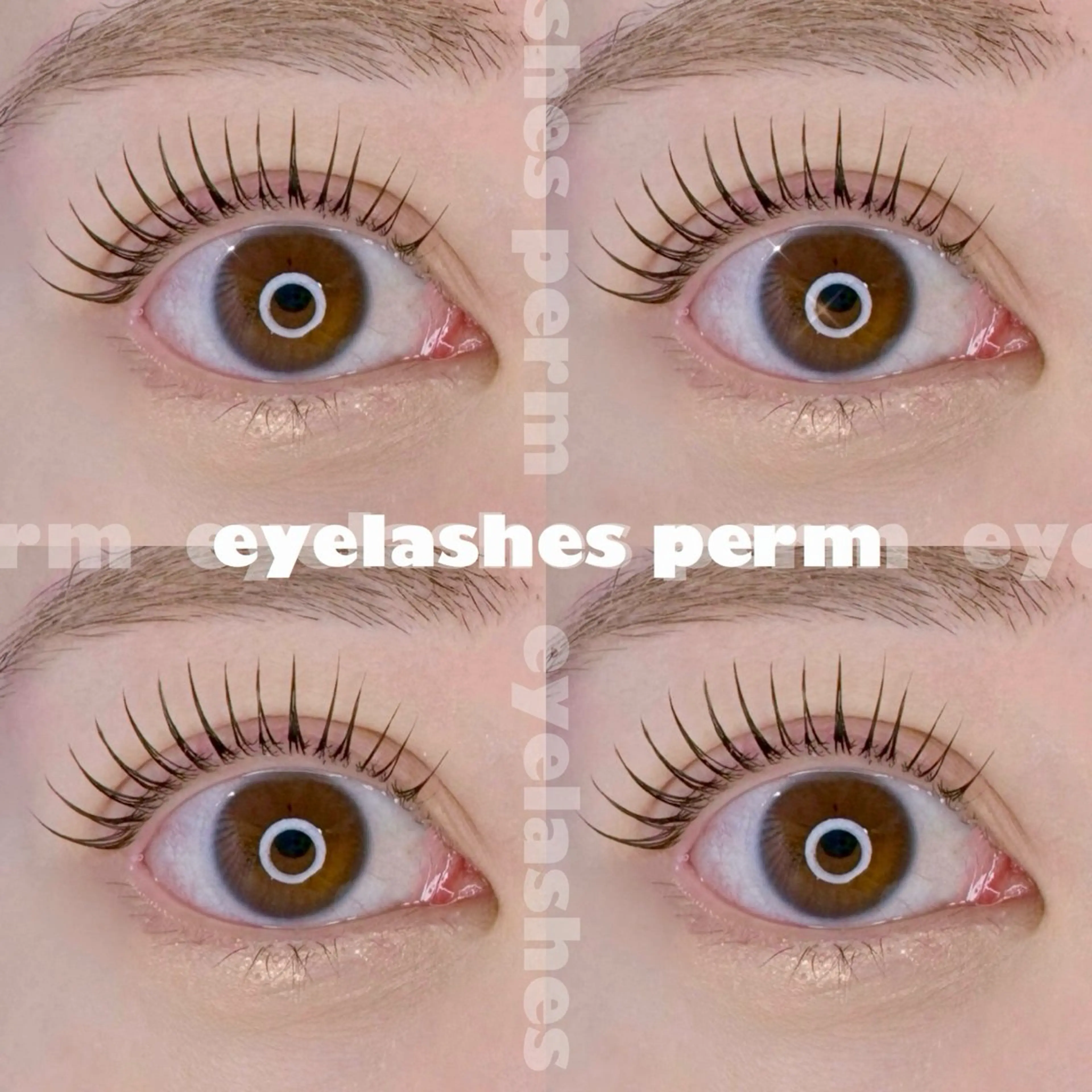 マツエク・マツパ マツパ Nancy所属・束感まつげ❤︎ あみのマツエク・マツパデザイン