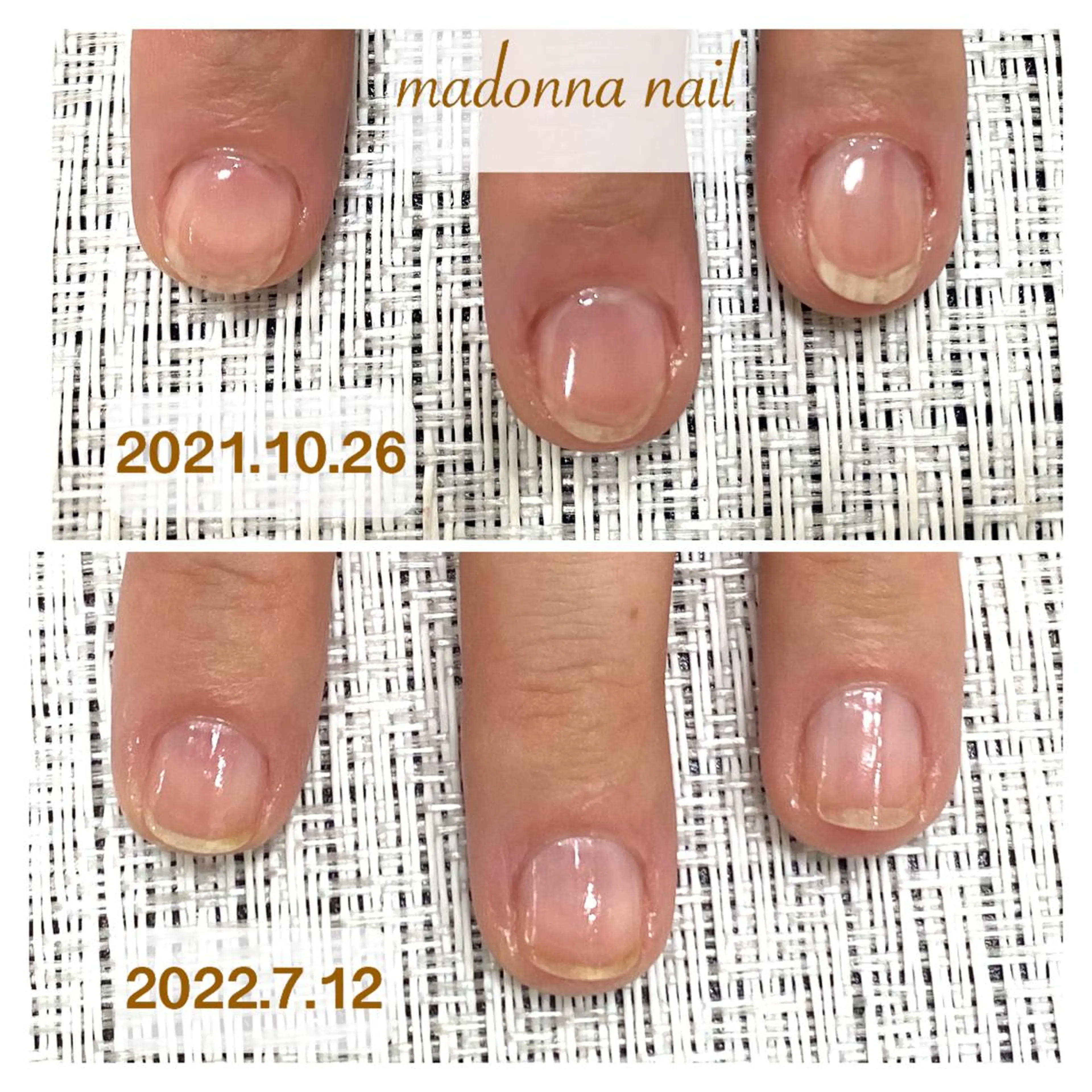 爪育メニューの写真