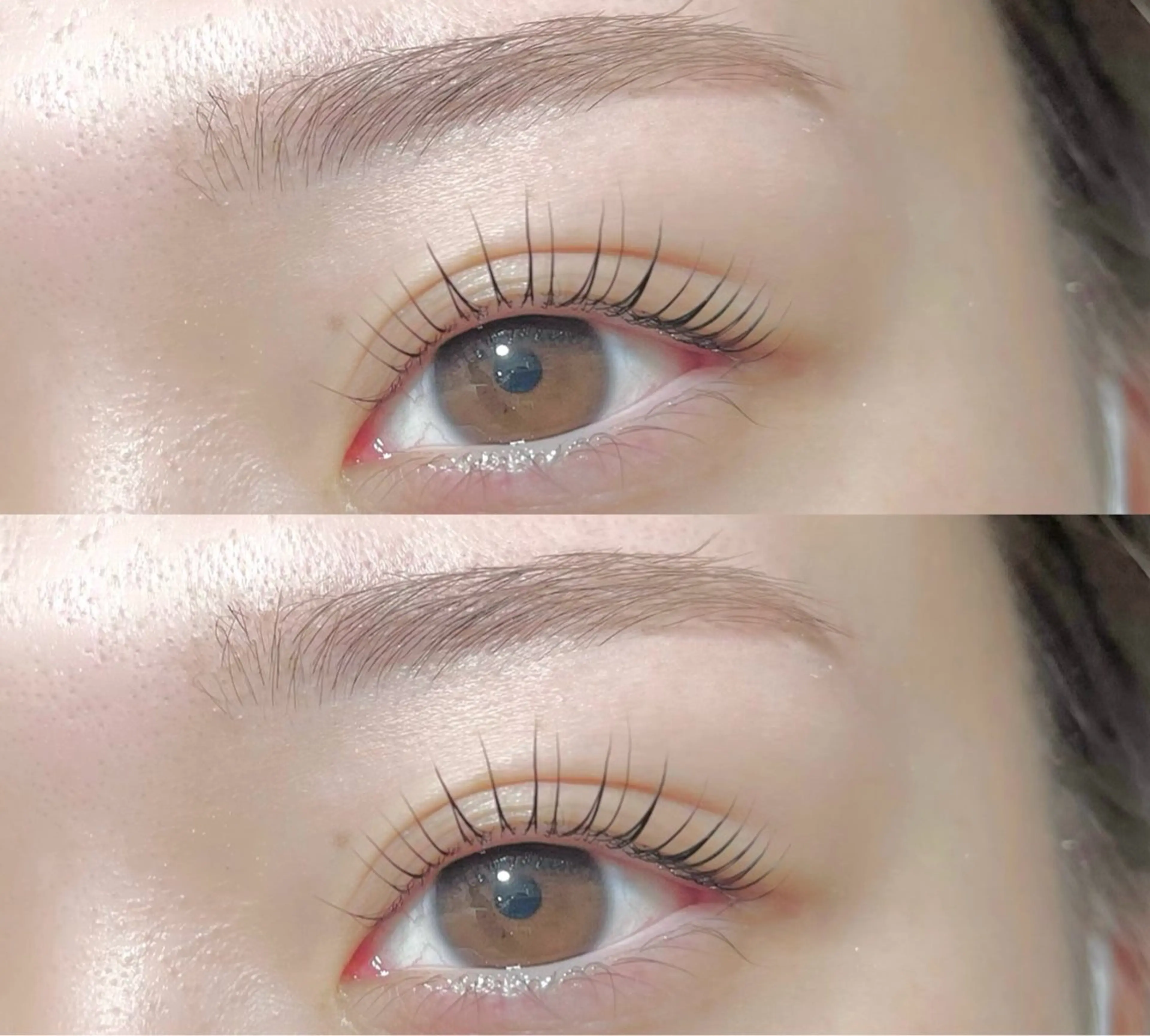 マツエク・マツパ パリジェンヌラッシュリフト eyelash&eyebrow Erde所属・Erde/ horizoe🕊️の眉毛・アイブロウイメージ