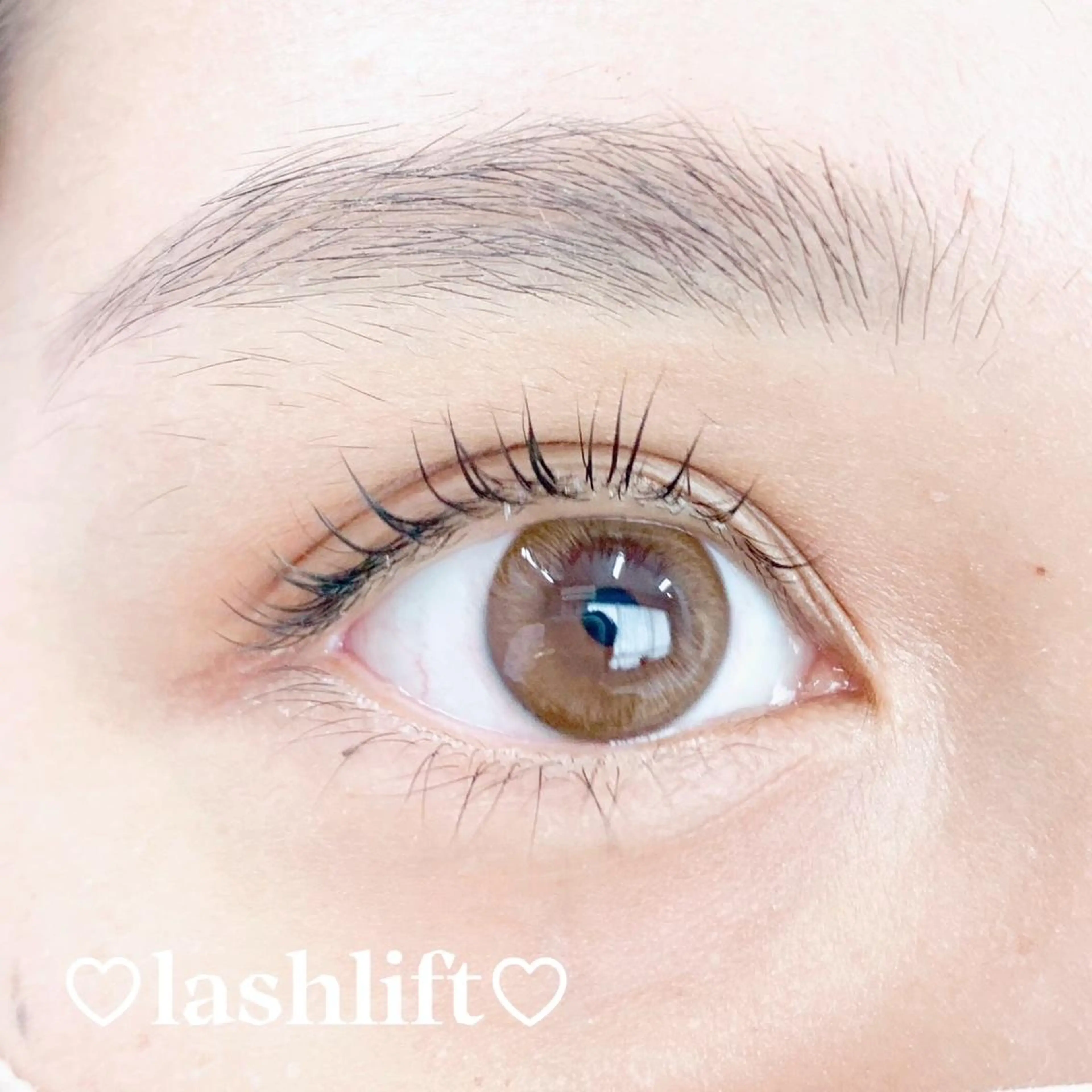 《ご新規様限定価格🤍》ブラックティントまつ毛パーマ　￥6050→￥4950の写真