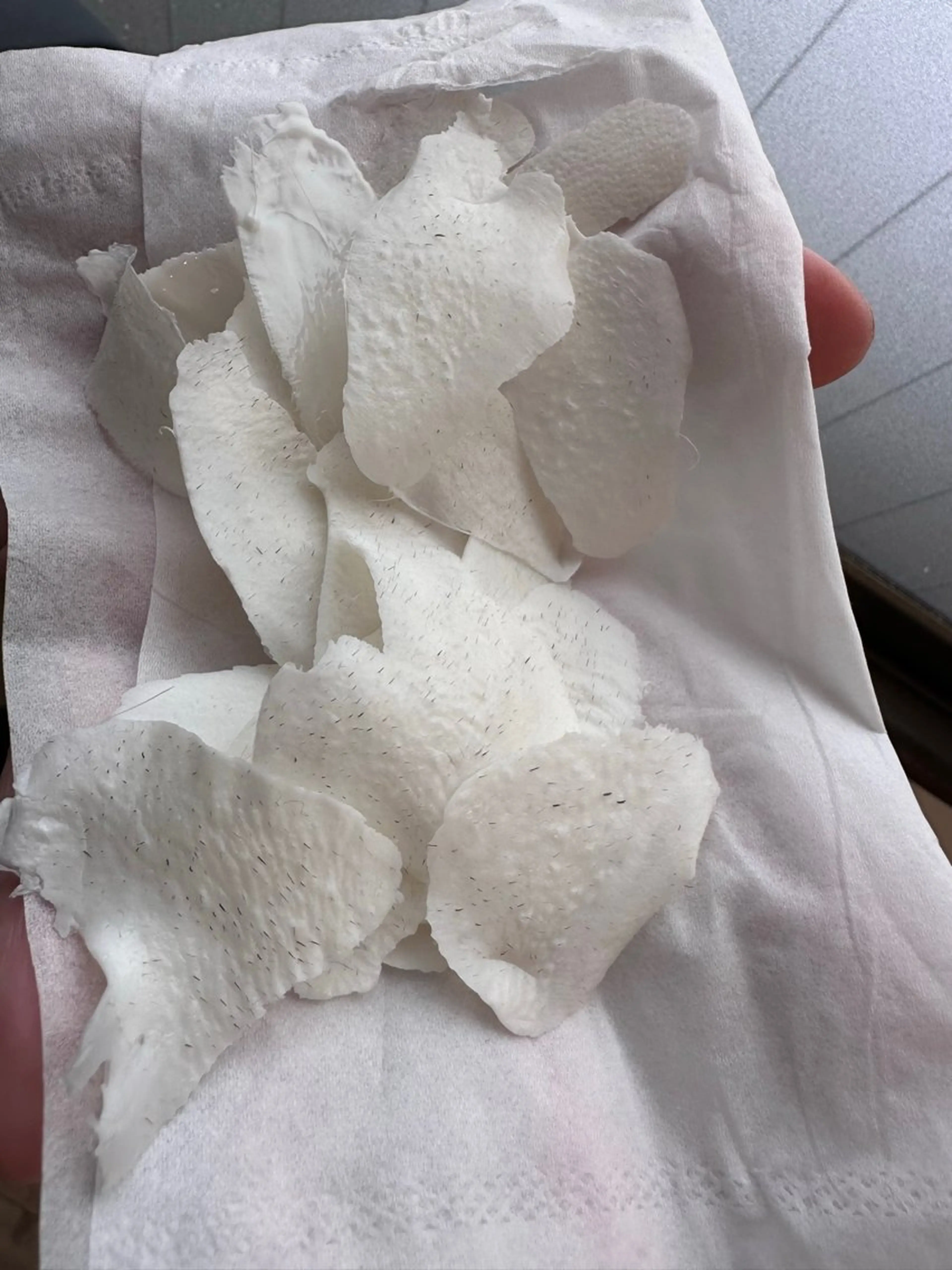 salon Shri所属・salon Shriのマツエク・マツパデザイン