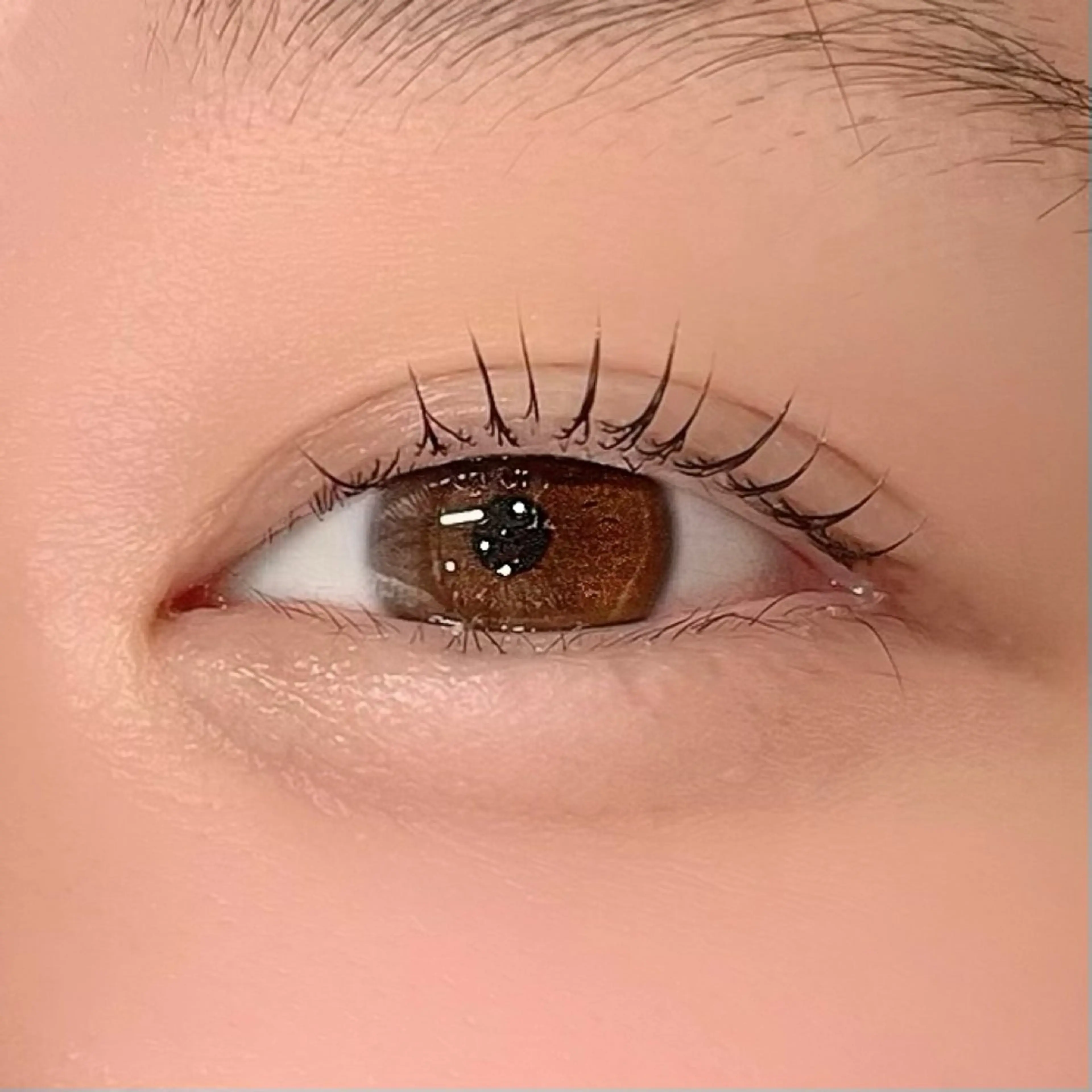 マツエク・マツパ マツパ uneune所属・Nao ·͜·のマツエク・マツパデザイン