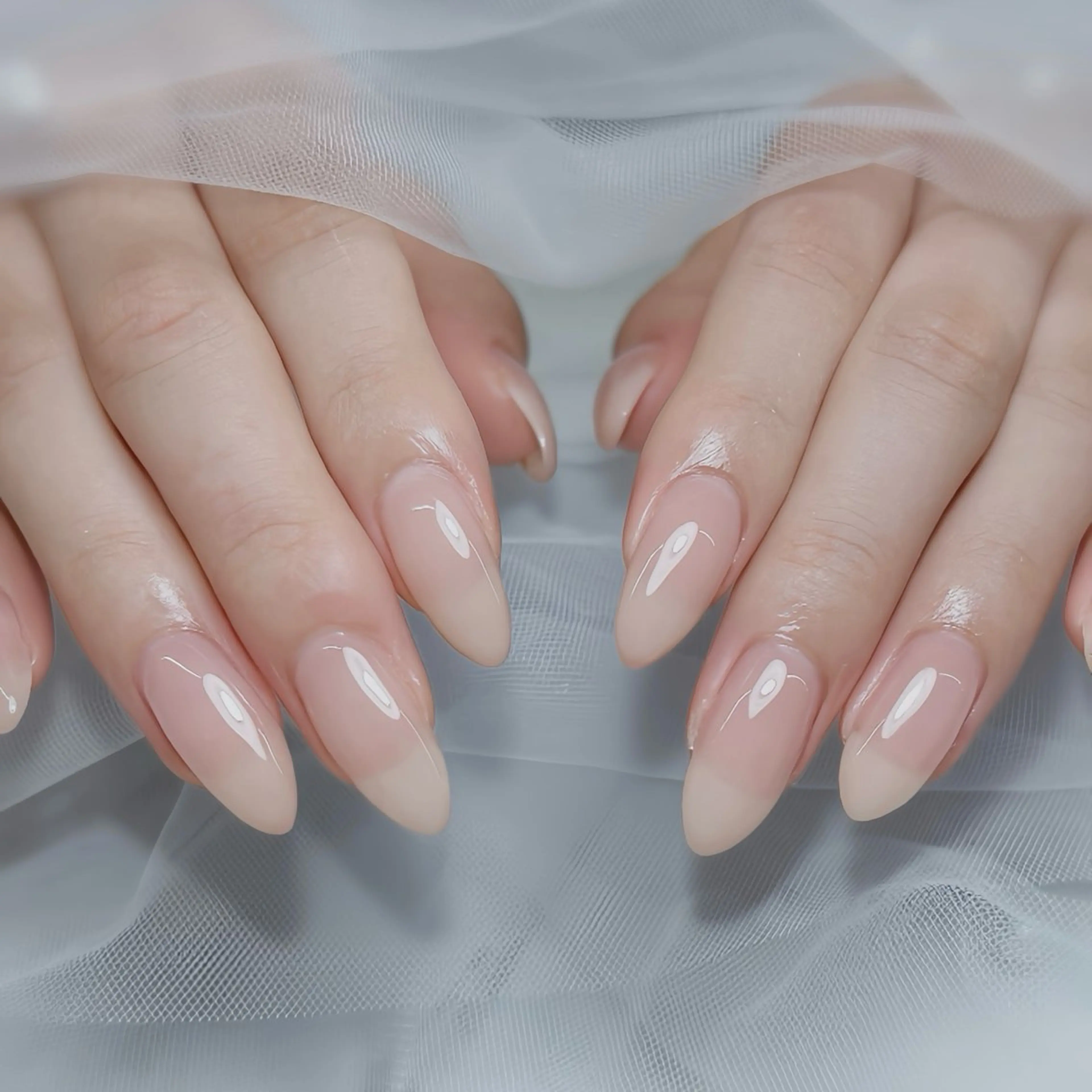 【新規割】ちゅるんワンカラー🦋の写真