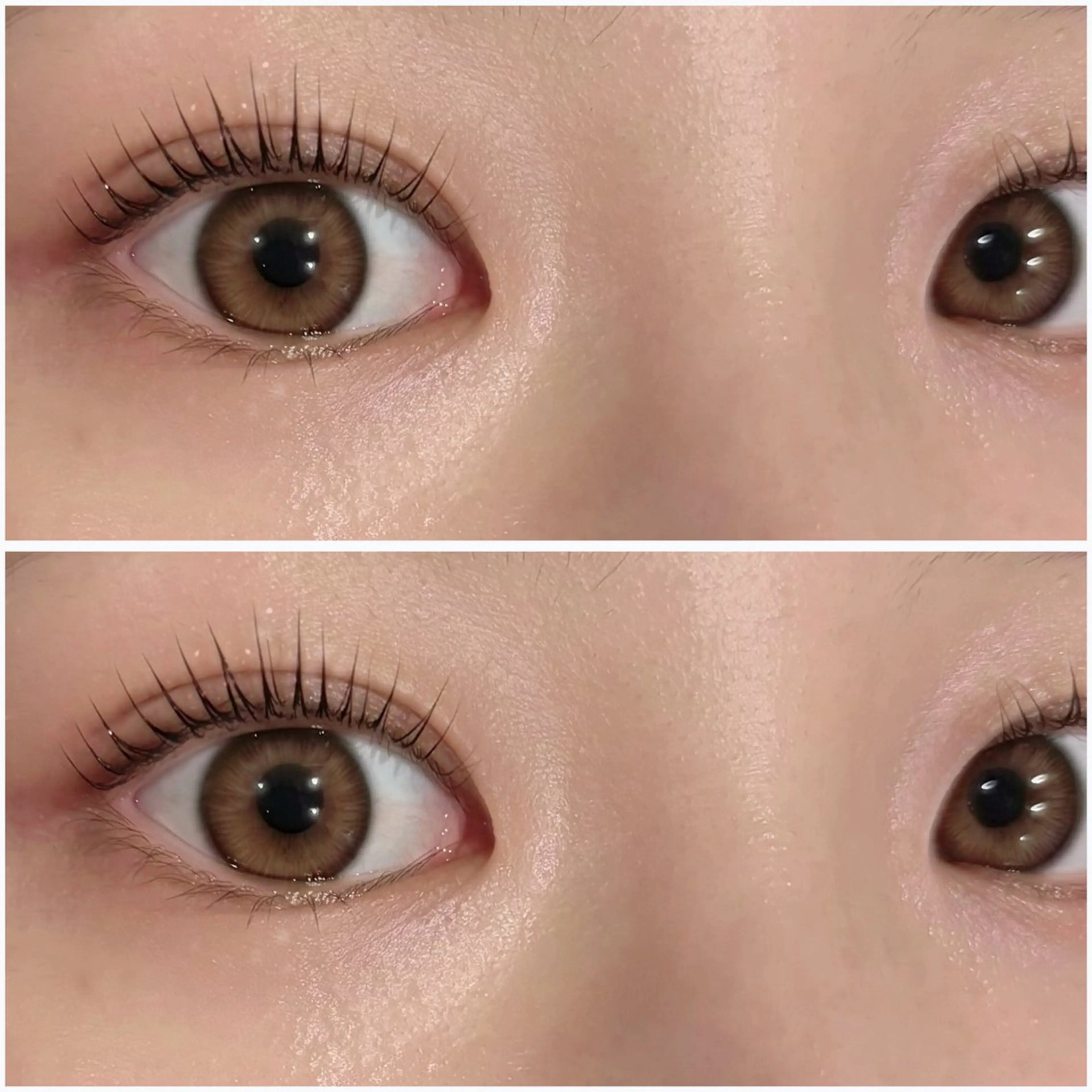 《🍑初回来店時限定🍑》まつ毛パーマ（パリジェンヌ/ラッシュリフト）の写真